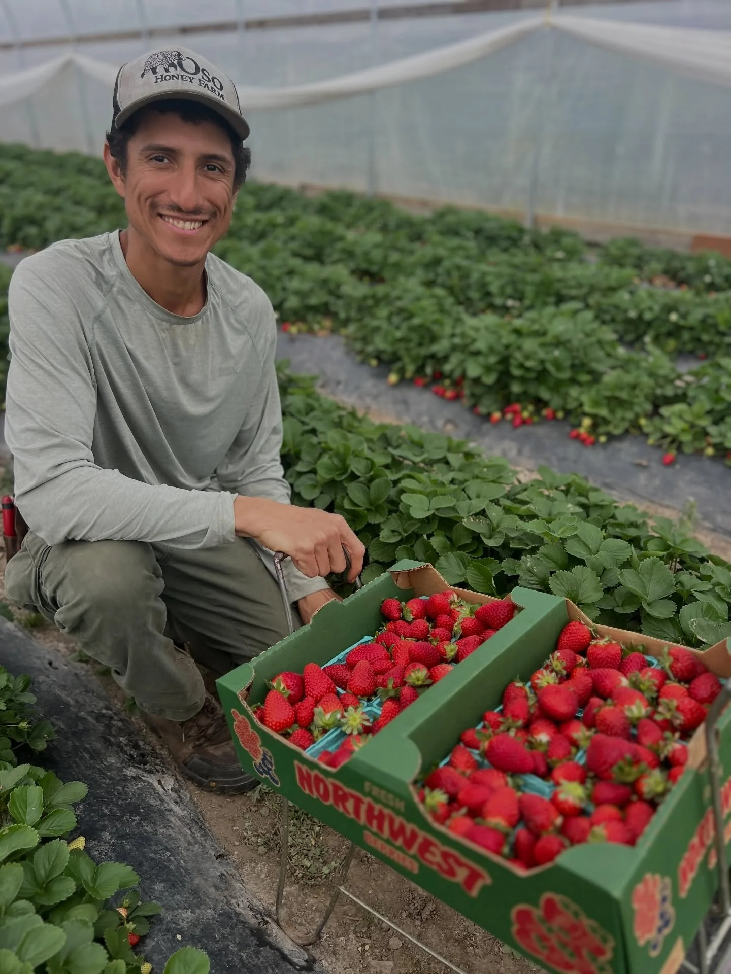 You&rsquo;re likely familiar with @osohoneyfarm if you&rsquo;ve bought some of their incredible varietal honey from us, but did you know there&rsquo;s a vegetable and fruit component to this farm? 

Called @ejido.oso this Corvallis farm is practicing