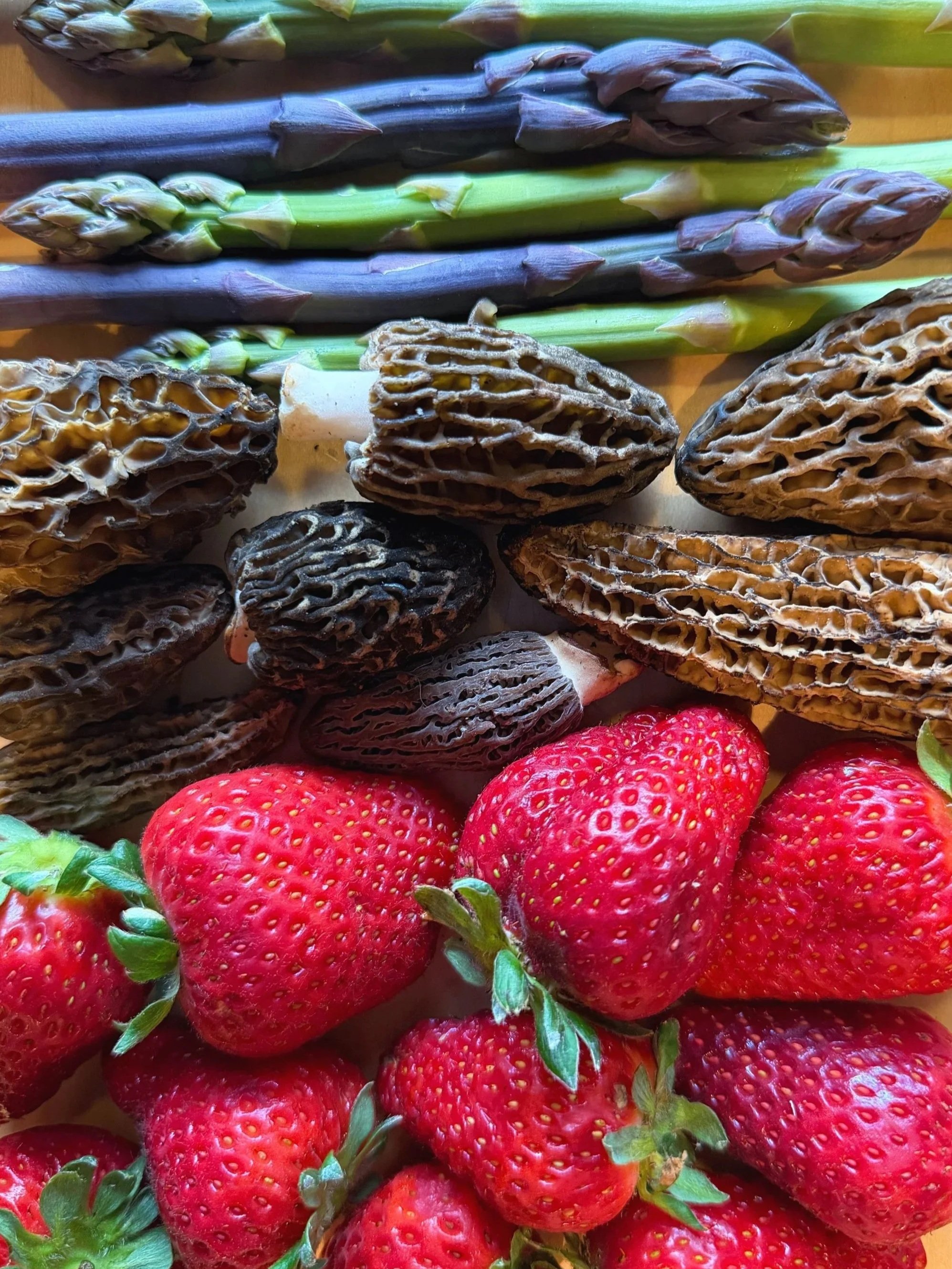 Spring Favorites Have Arrived!