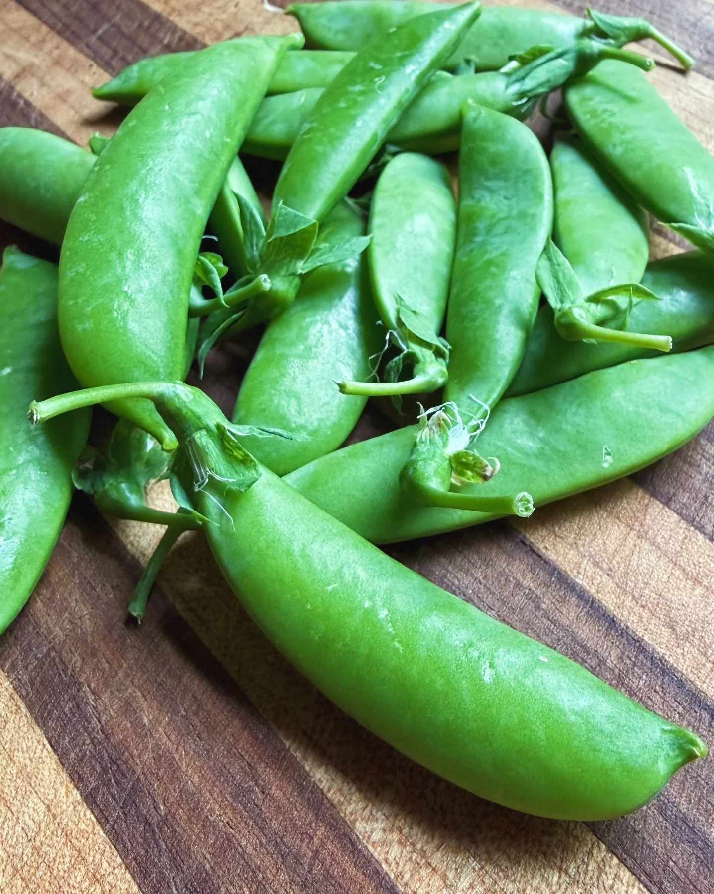 Local Sugar Snap peas have arrived at Rubinette in all their crispy, crunchy, bright and sweet glory!

&ldquo;But where are they!?&rdquo; 

On the left side of the cold display next to the bagged heirloom salad mix!

&ldquo;Why in bags, we can&rsquo;