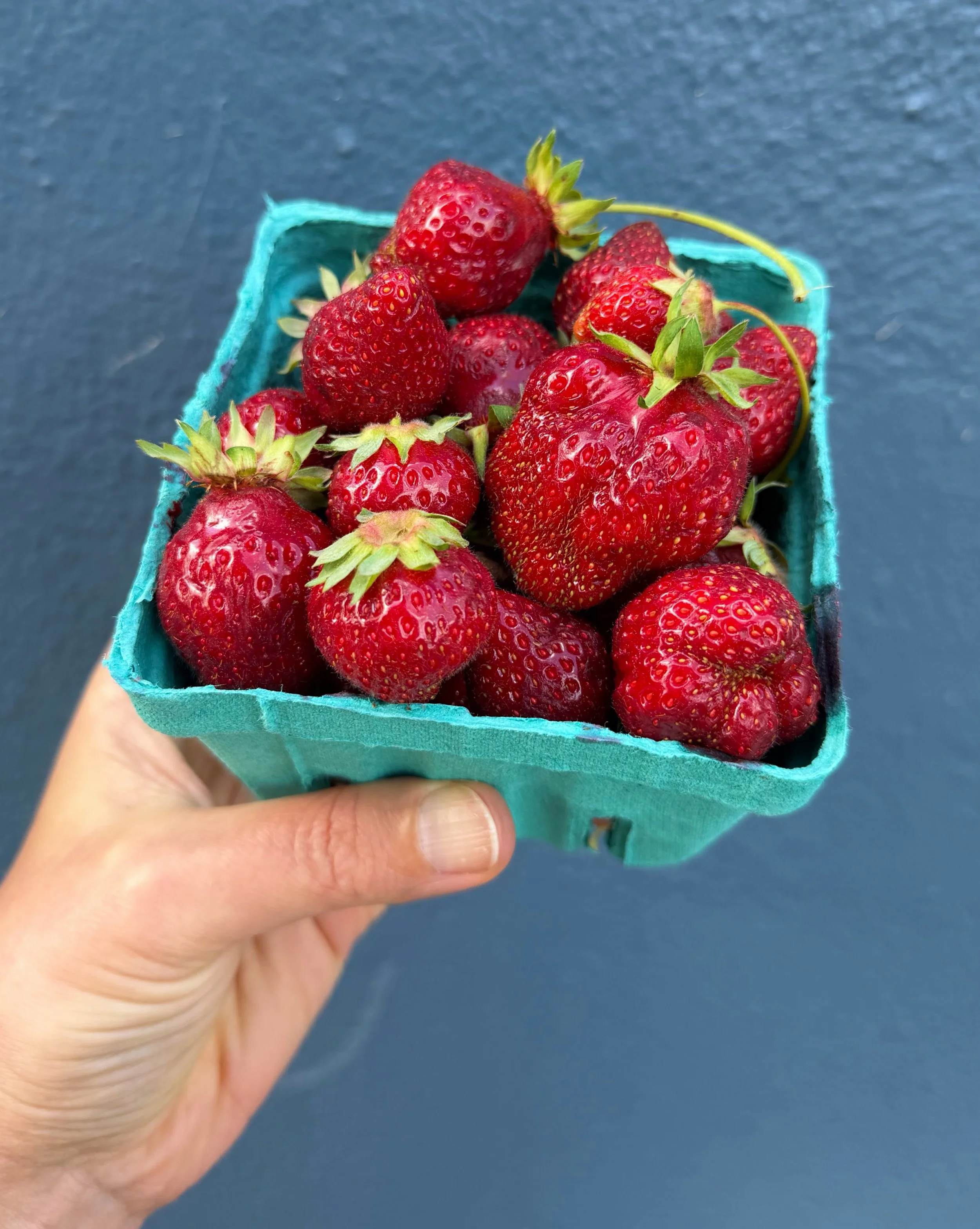 The HOOD strawberries are here!

We just received our first few flats from Pablo Munoz Farms.

They won&rsquo;t last long! If you weren&rsquo;t planning on swinging by Rubinette today&hellip;.change of plans! 😉