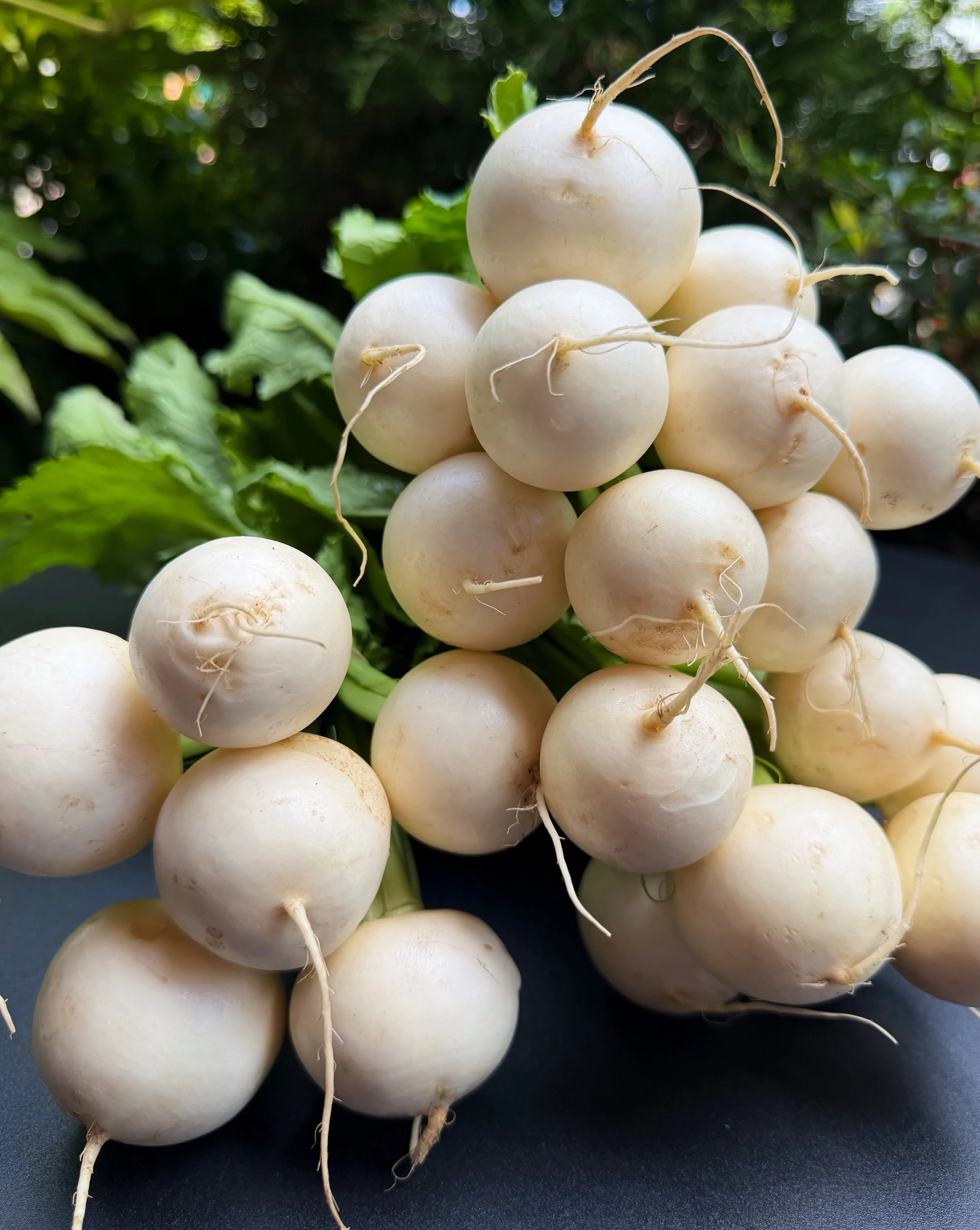 How can something so simple be so hard to keep in stock?

When it&rsquo;s really, really good!

These Hakurei from @fastandloosefarm are some of the best we&rsquo;ve seen. Their milky white bulbs are tender, crisp, juicy and totally absent of any bit
