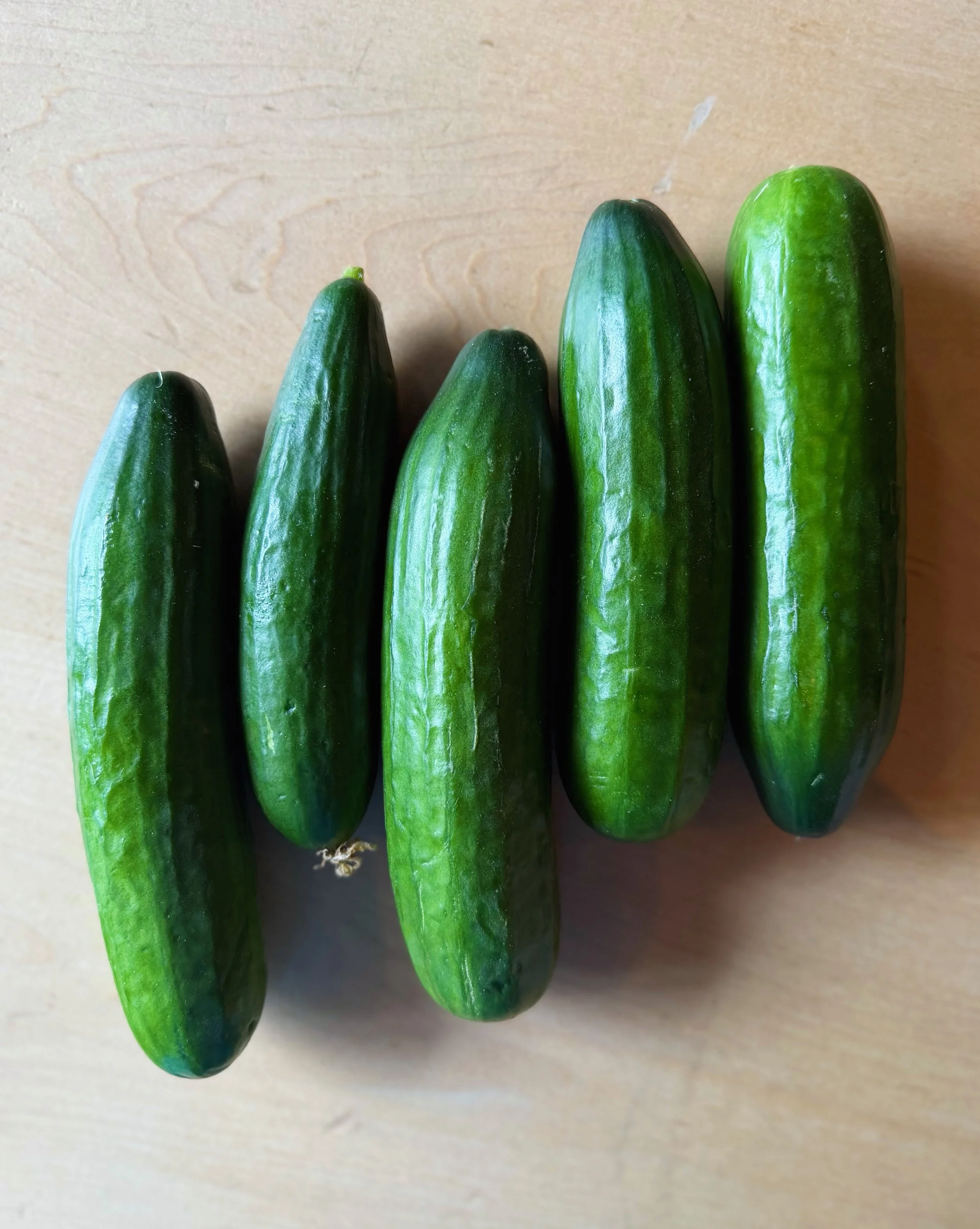So absolutely perfect in their simplicity, locally grown Persian Cucumbers have made their seasonal debut!

These, grown by @groundworkorganics are just waiting for you to use them as the refreshing base for a culinary trip around the world. 

Consid