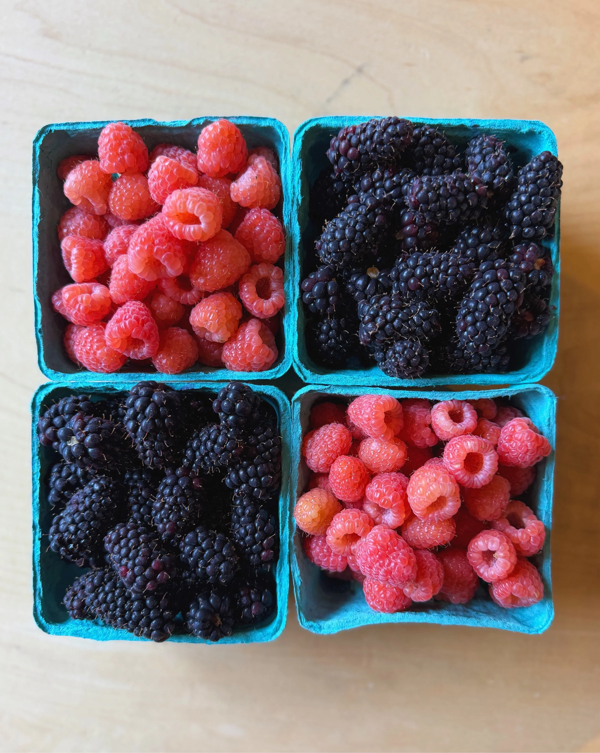 The start of local cane berry season always brings with it the first hint of all the fun to come: river days, picnics in the park and those long awaited Portland evenings with the last rays of sun dipping below the west hills at nearly 10 o&rsquo;clo