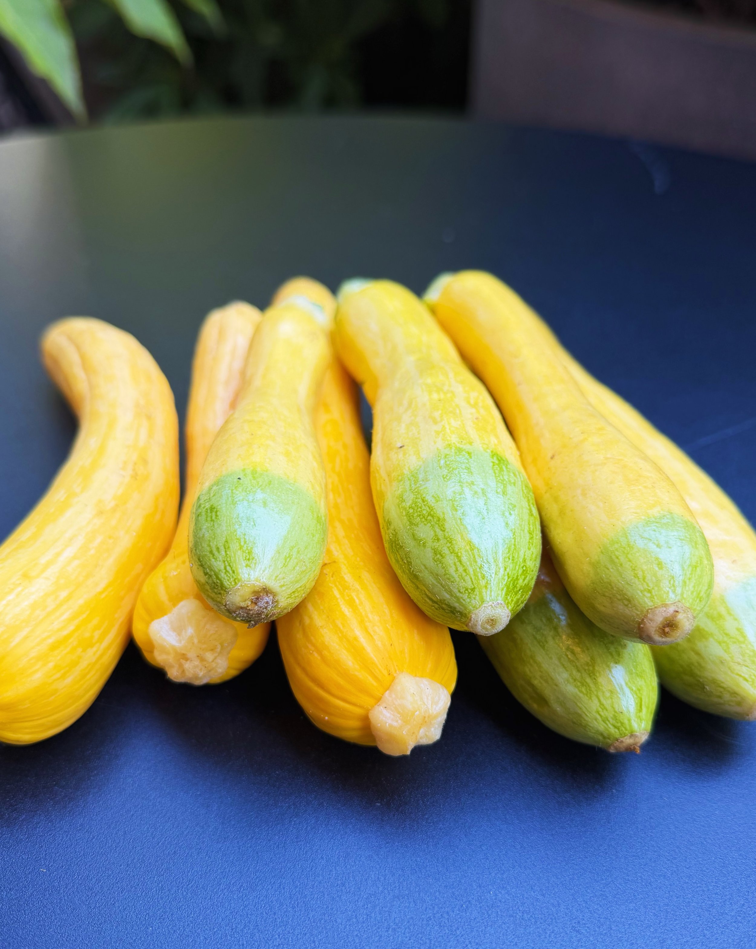 Remember in the late 90&rsquo;s after Madonna had her first child, she released her techno-pop album, Ray of Light?

The only thing that has to do with this summer squash is that the lyrics in the album&rsquo;s single reference a &ldquo;zephyr.&rdquo