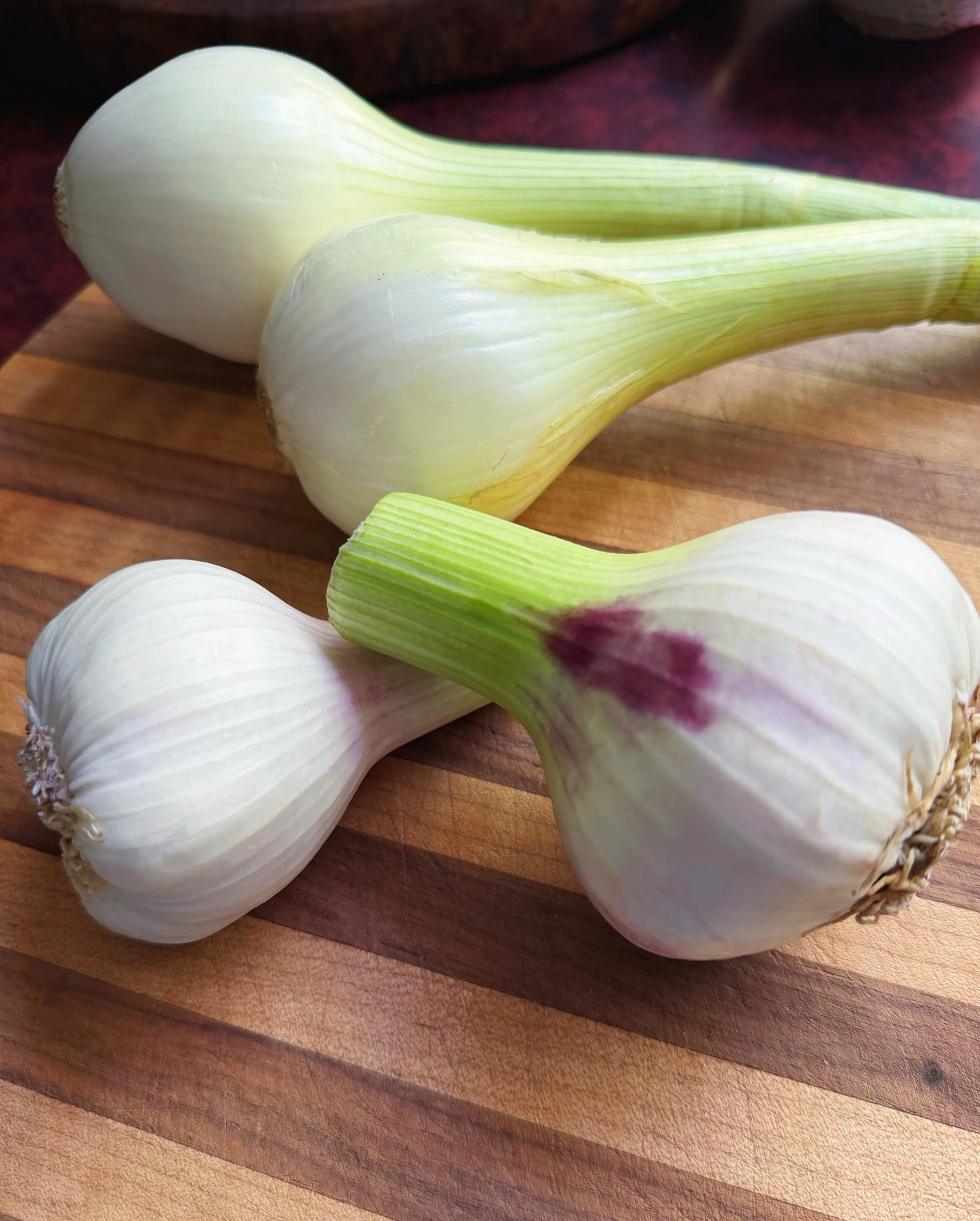 Fresh garlic is one of those late-spring items that we just don&rsquo;t think gets quite enough attention. 

In case it helps to compare to something more familiar, fresh garlic is to papery-skinned cured garlic as spring onions are to storage onions