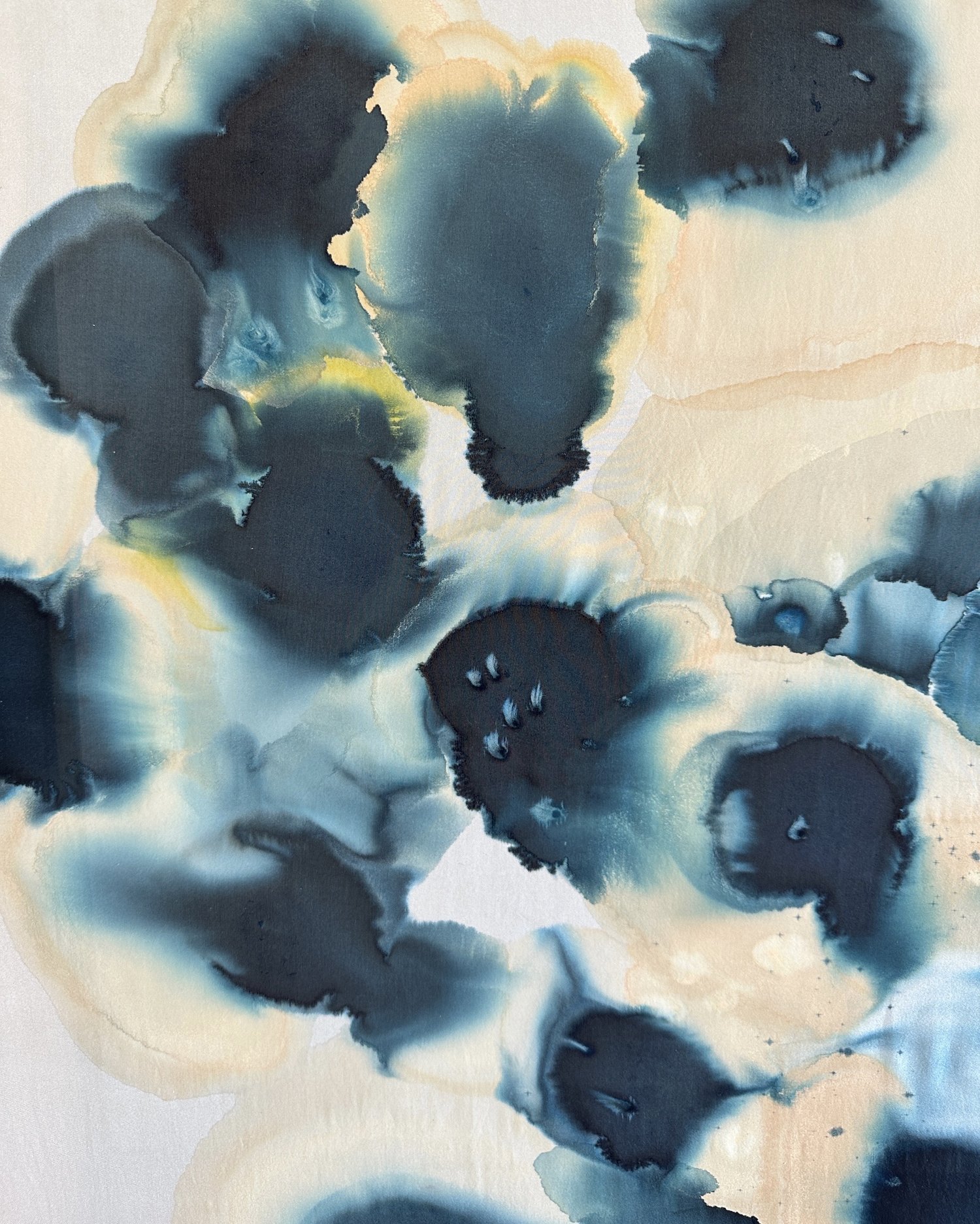 C_Griffin_commission onlyIMG_3252.JPG