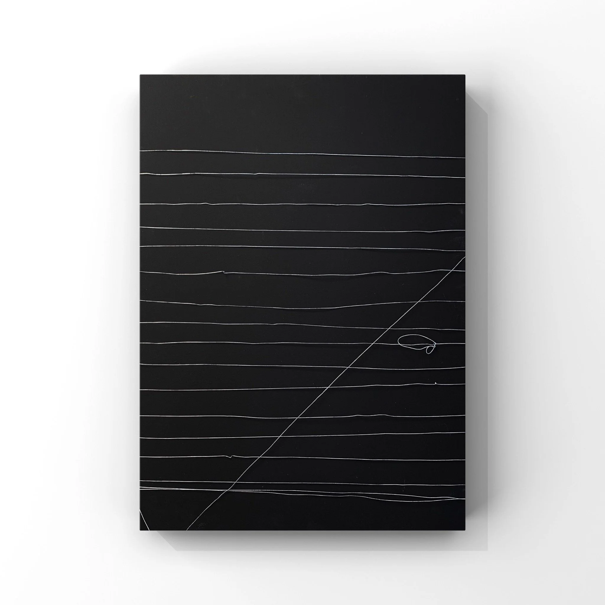 L_GhasemiCAPTURED (Black) 20''x 16'' Acrylic & Wire on Canvas.JPG