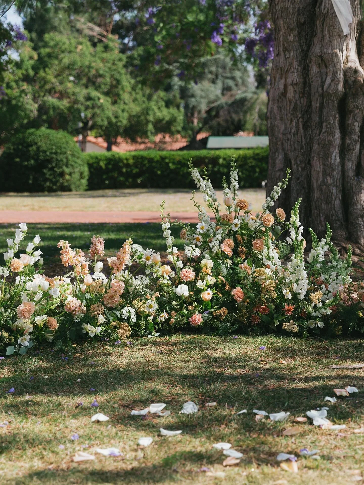 Sweet ceremony floral meadow for the lovely A+I ❤️

Photography: @jennaopsahl 
Coordination: @theyesstory 
Venue: @caltechathenaeumweddings 
Florals: @the_flower_bunny 

#weddingceremony #ceremonyflowers #pastelflowers #pastelwedding #pastelweddingfl