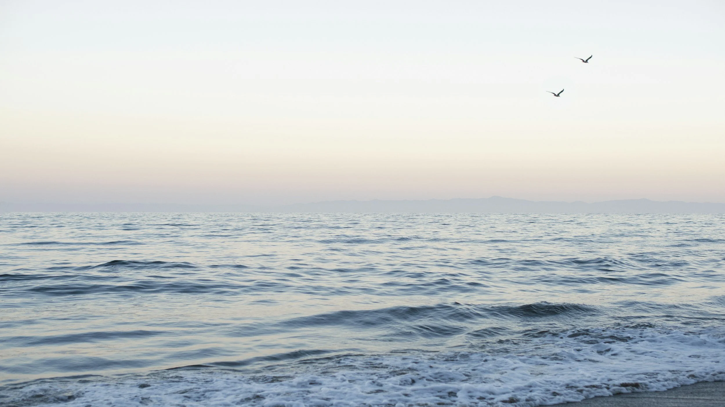 Calm ocean water with gentle waves and a distant mountain range under a pastel sky, with three birds flying.