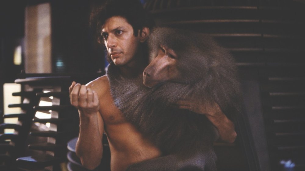 The Fly (1985)