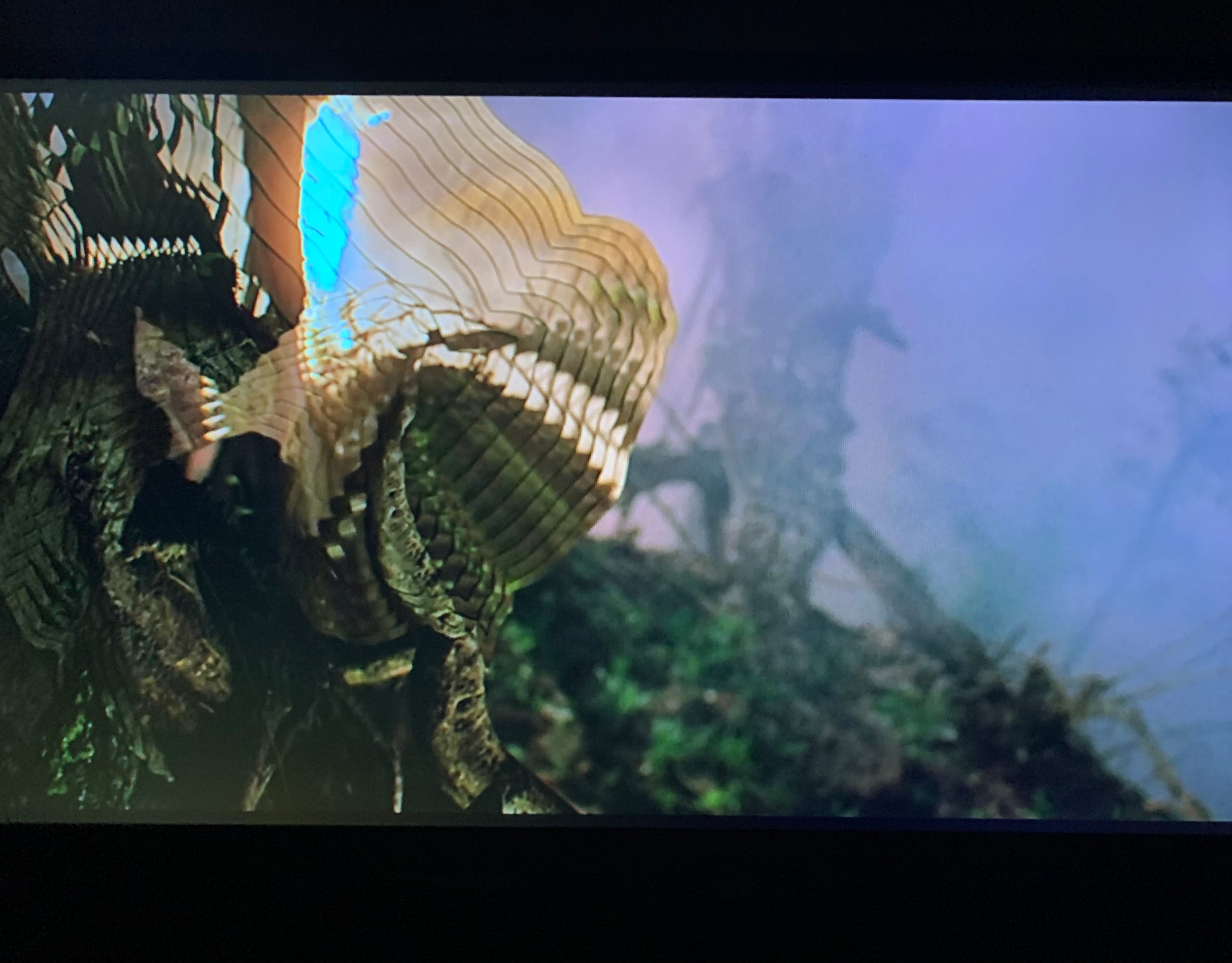 Predator (1987)