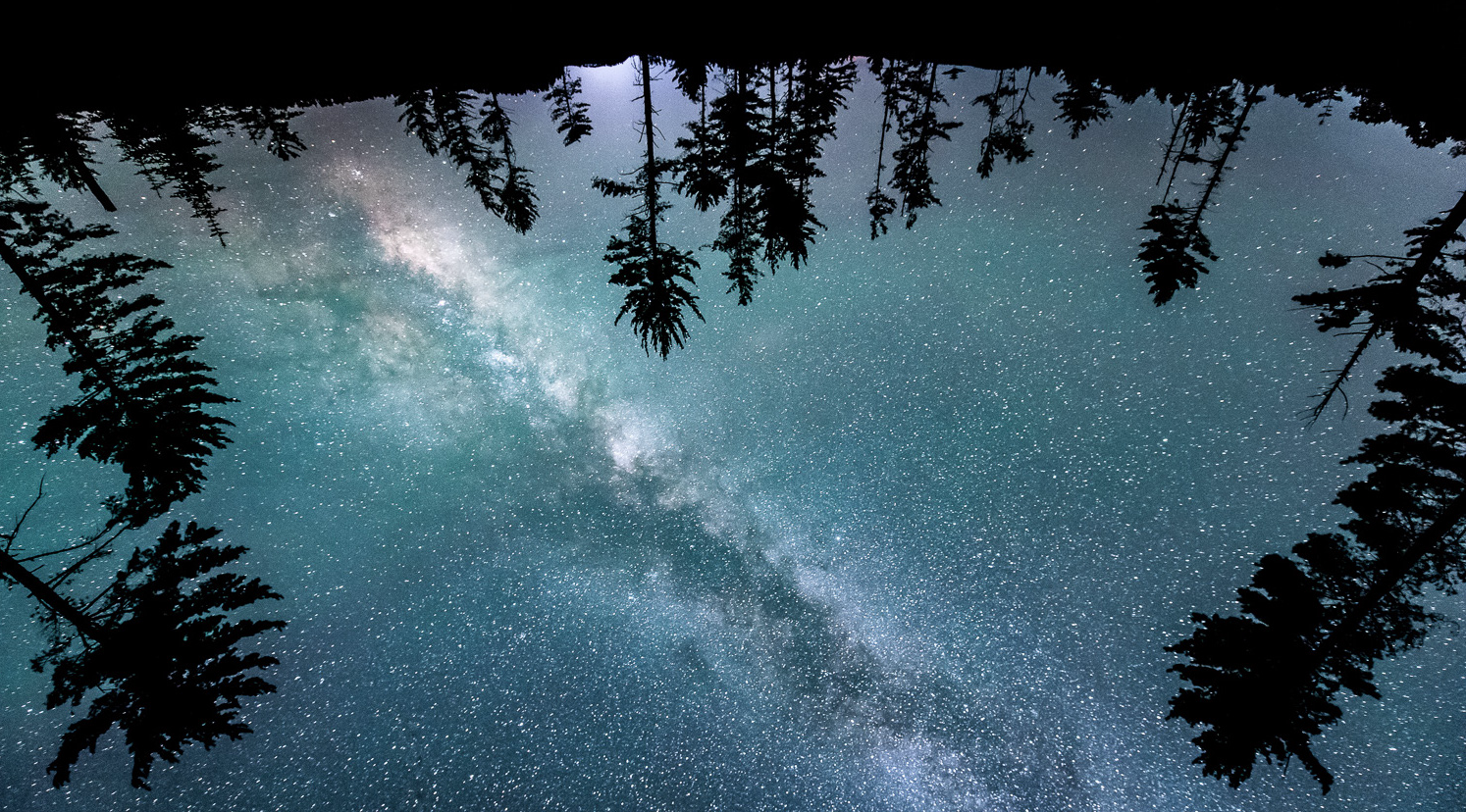 The Subject is a Projection of the Universe; The Universe is What the Subject Projects&nbsp;