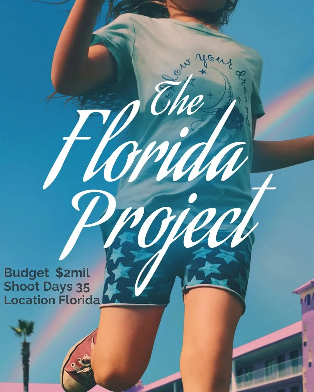 Budget $2mil
Shoot Days 35
Location Florida (Kissimmee/Orlando)
Year 2016 (July/August)

👇for how it started
-> swipe for the facts

In 2011, Co-writer Chris Bergoch first brought the idea for TFP to Sean Baker after noticing families with childr
