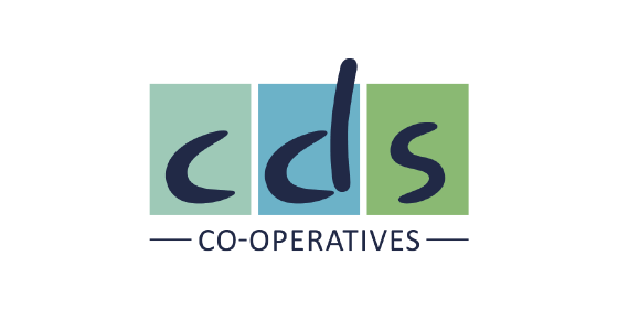 cds_logo_col_2x-560x280.png
