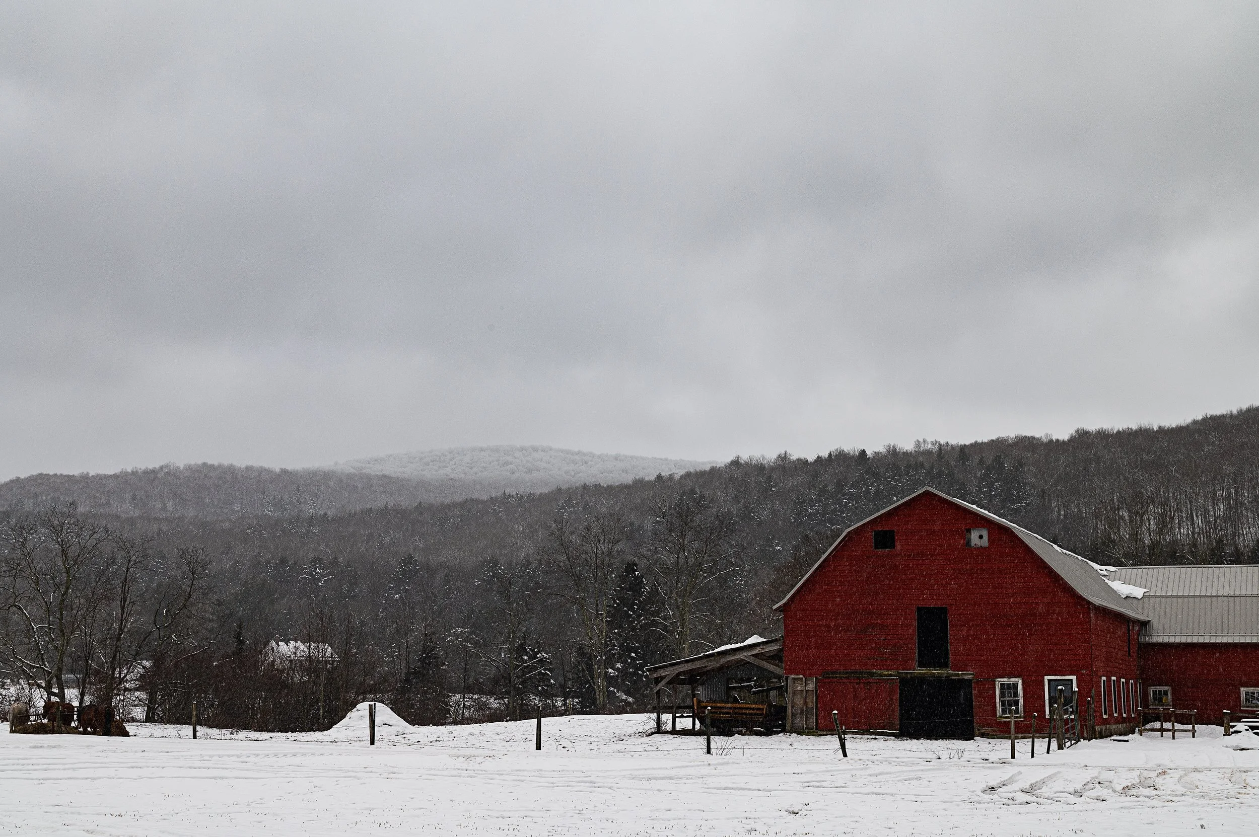 Beaverkill Trout Hatchery Livingston Manor, NY — Jamie Shields photography