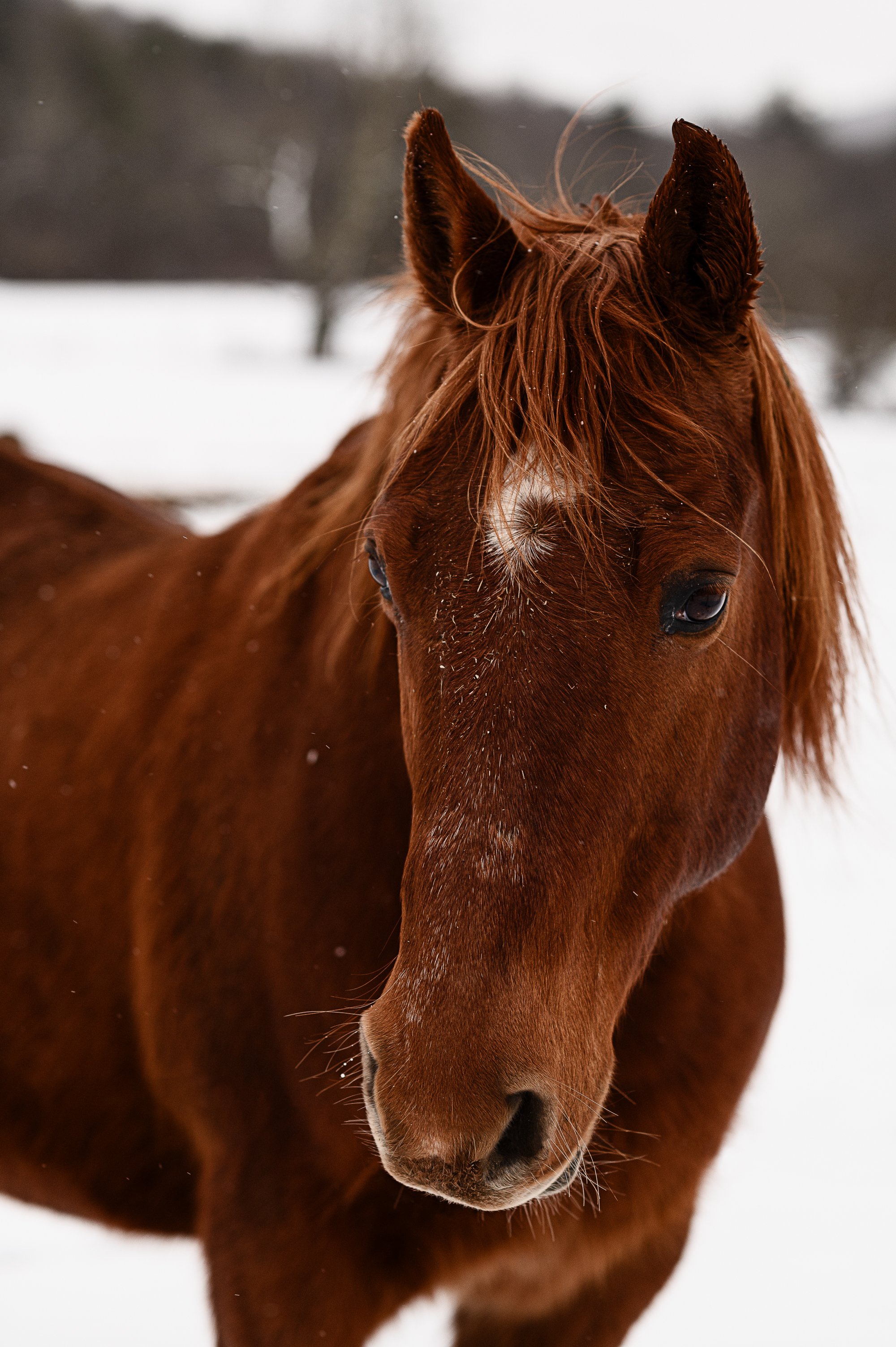 Beaverkill Trout Hatchery Livingston Manor, NY — Jamie Shields photography