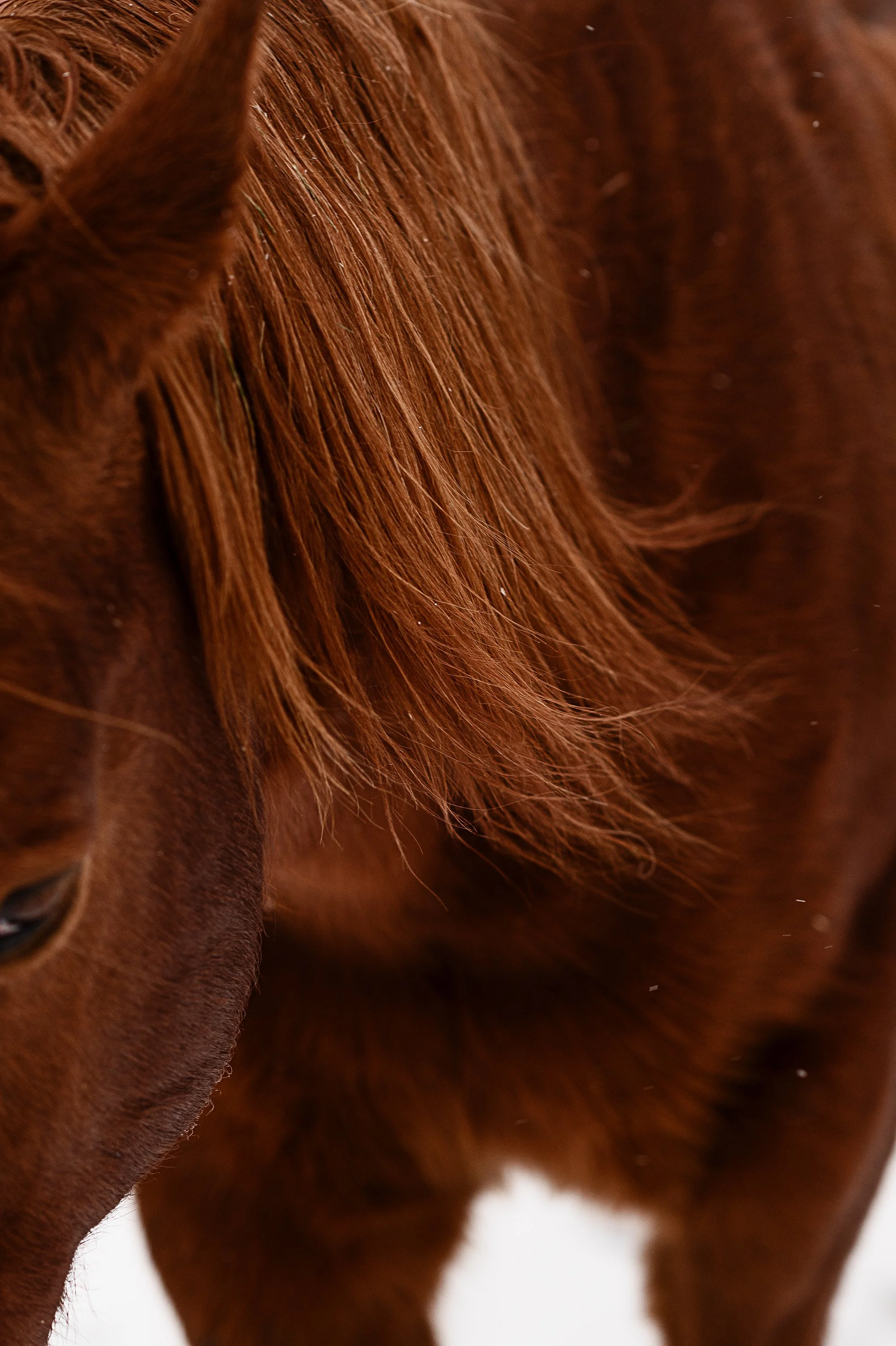 Beaverkill Trout Hatchery Livingston Manor, NY — Jamie Shields photography
