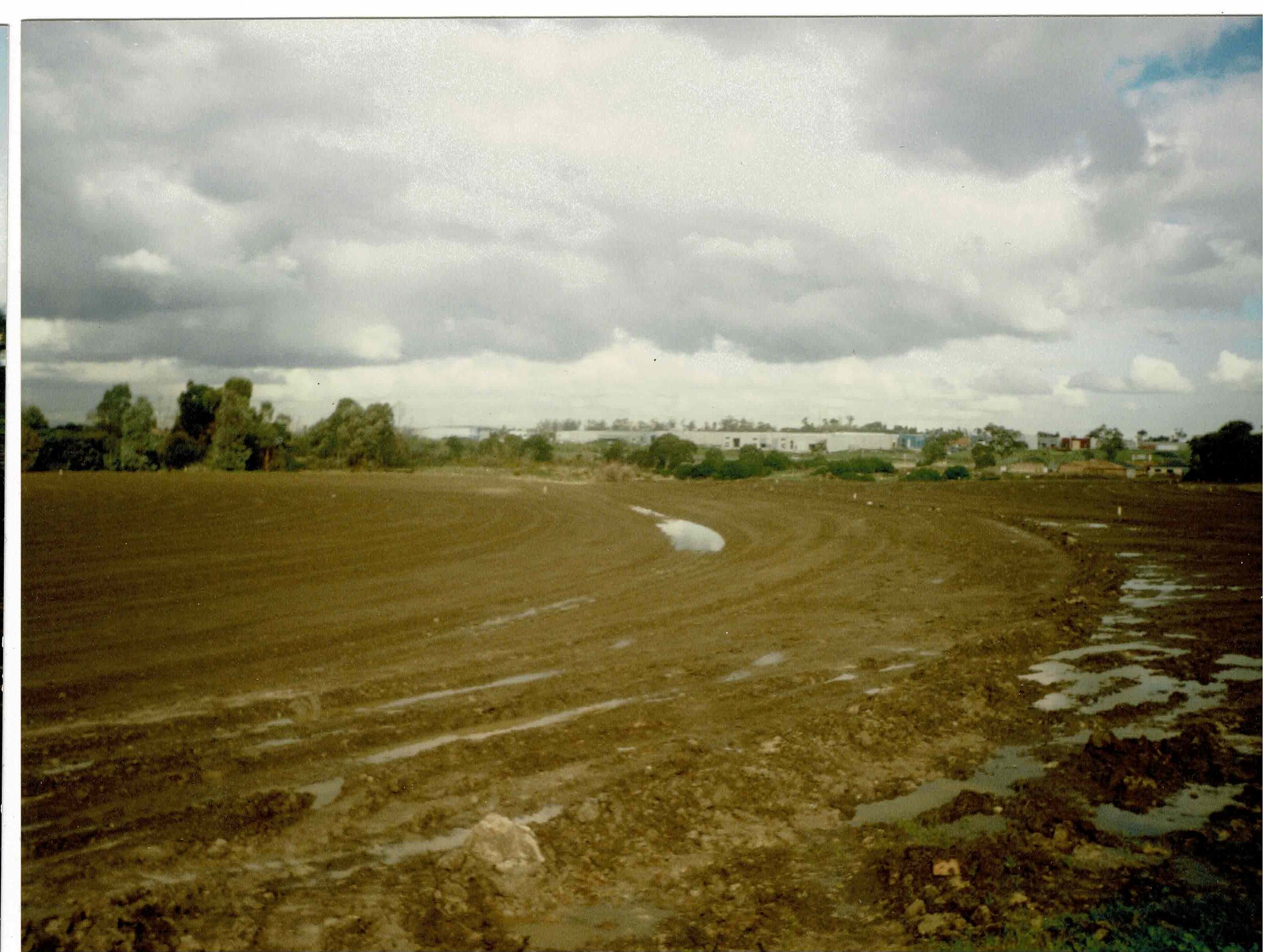 Scan 15.jpeg