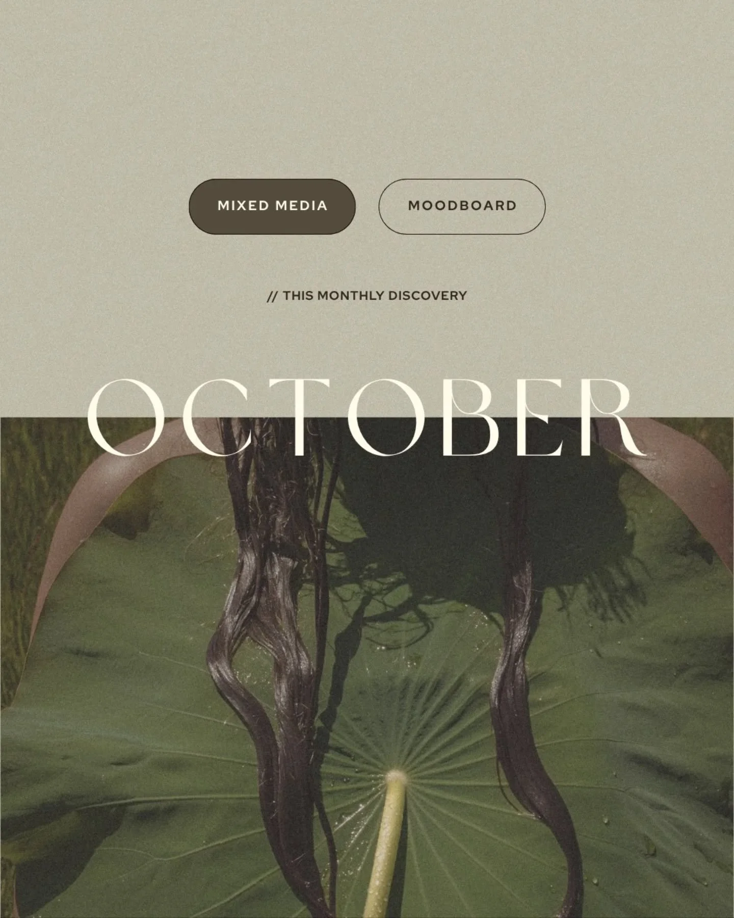 OCTOBER IN STUDIO 🖤

Darker, slower days, fuelling creativity. Colours going deeper, textures getting cosier, salads getting warmer, sprinkled with fruits becoming richer and...bat season 🦇

Are you allowing the mystery of October to influence the 