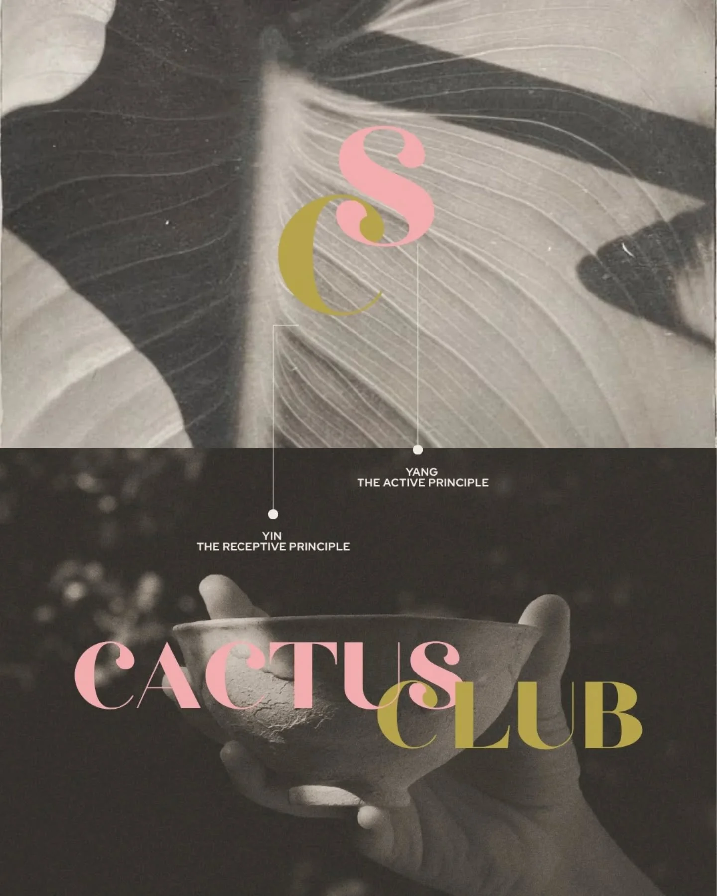 Recent work ✨ 

Bringing a Mayan inspired retreat dream to life: 
The Cactus Club🌵

Our Visual Identities are not just logos, fonts and colours.

They are a connection between founder and brand. 

They are a deep reflection of that initial excitemen