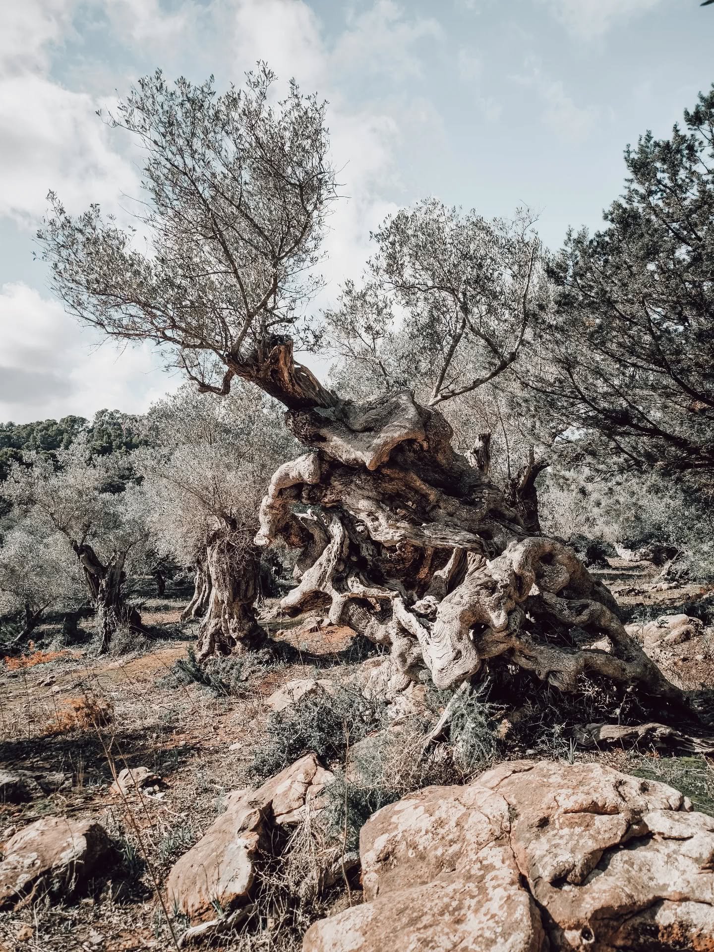 Holistic Business Support ✨

Hello, how are you doing?

As both a mother and a mentor, I often notice the similarities between supporting my clients and encouraging my children, helping them recognise the positives, even when it&rsquo;s easier to foc