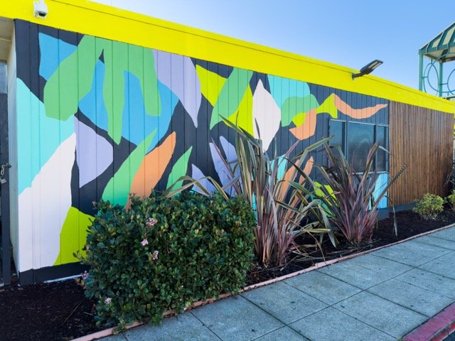 IMG_6754 Medium.jpeg