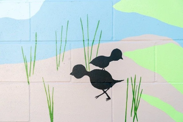 DSC02150 Medium.jpeg