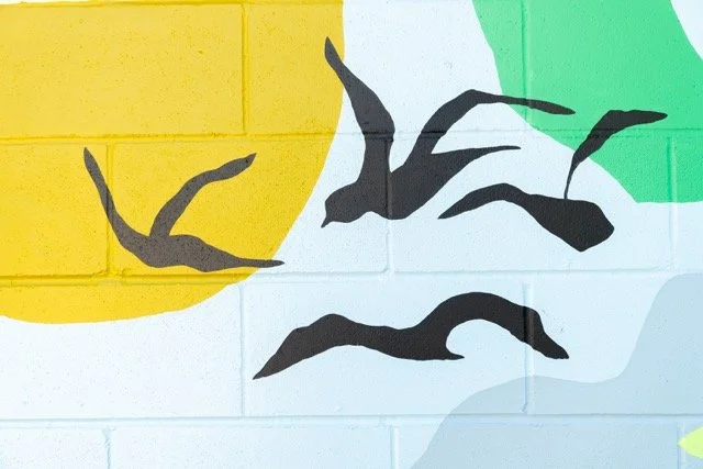 DSC02151 Medium.jpeg