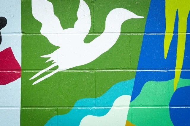 DSC02056 Medium.jpeg