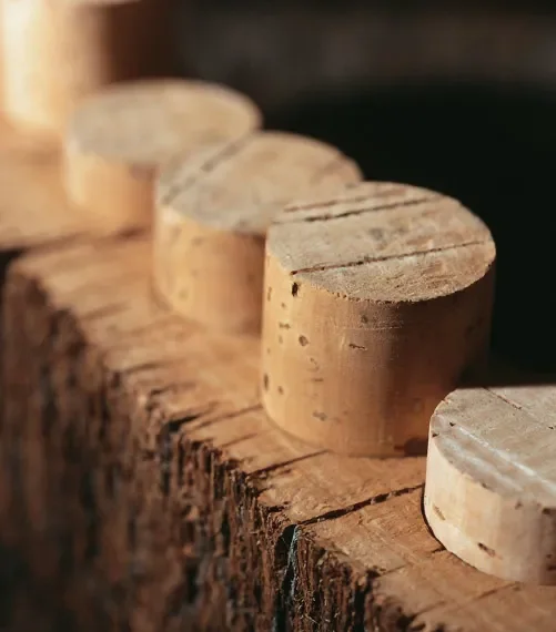 Why Natural Cork: The Sustainability Story by Portocork