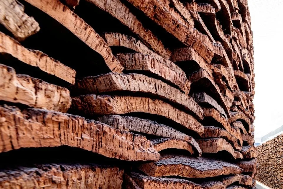 A collaboration worth toasting: explore the history, magic and emotions behind Portuguese wine, the ritual of drinking, and the cork industry.