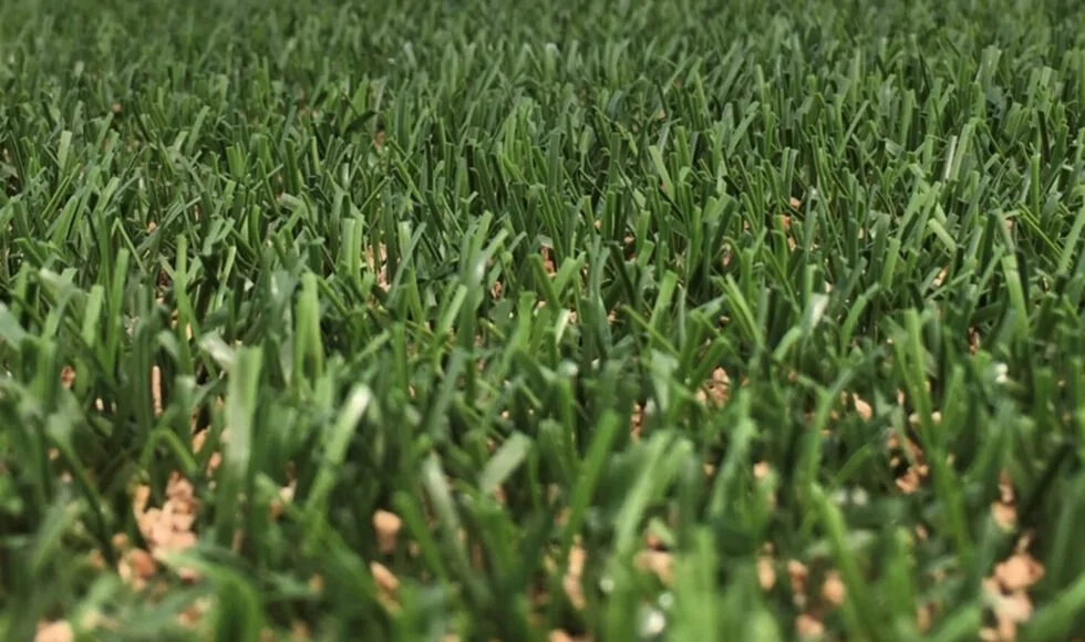 Why Springboks of the future will scrum down on cork