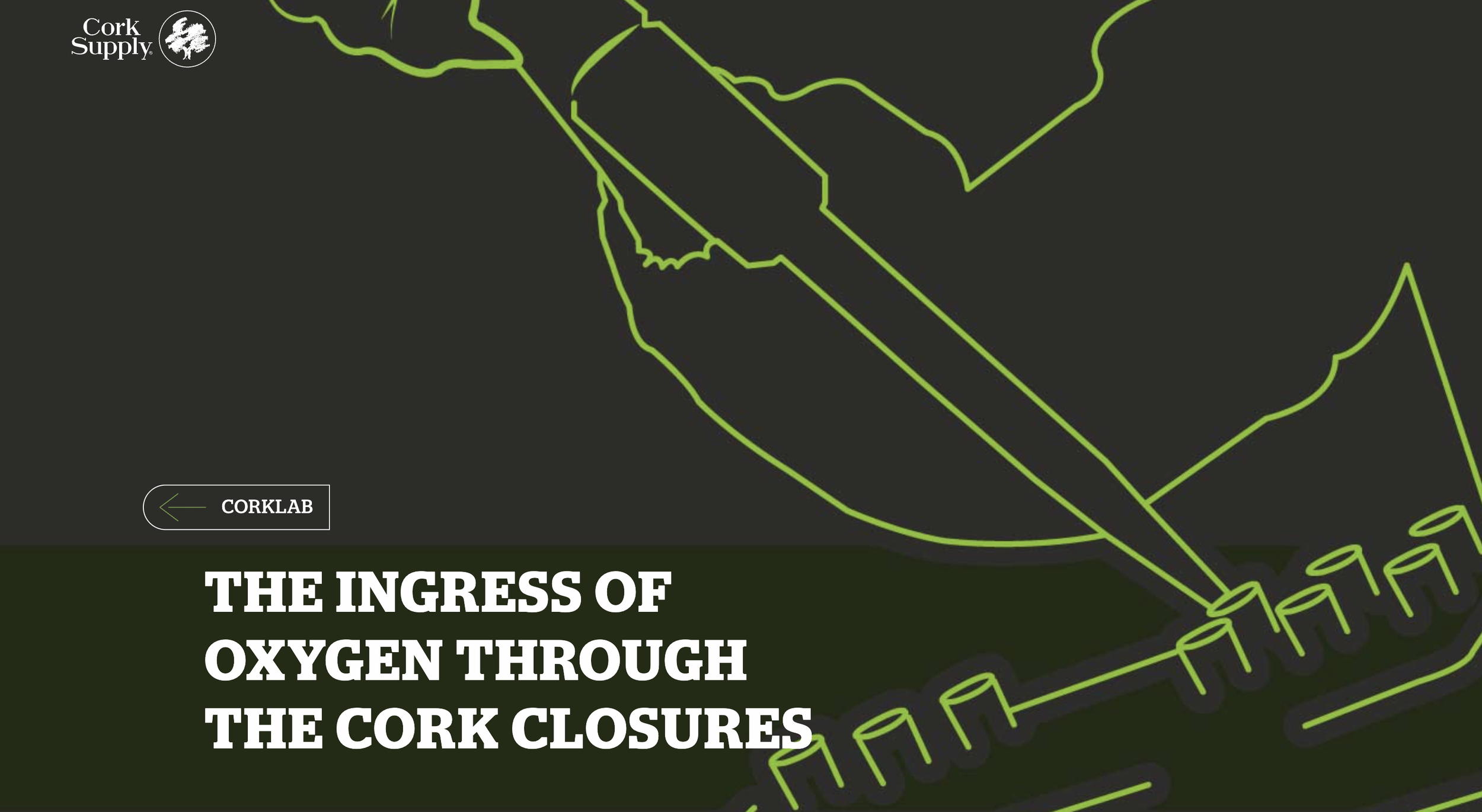 Modeling the oxygen ingress through the cork closures.