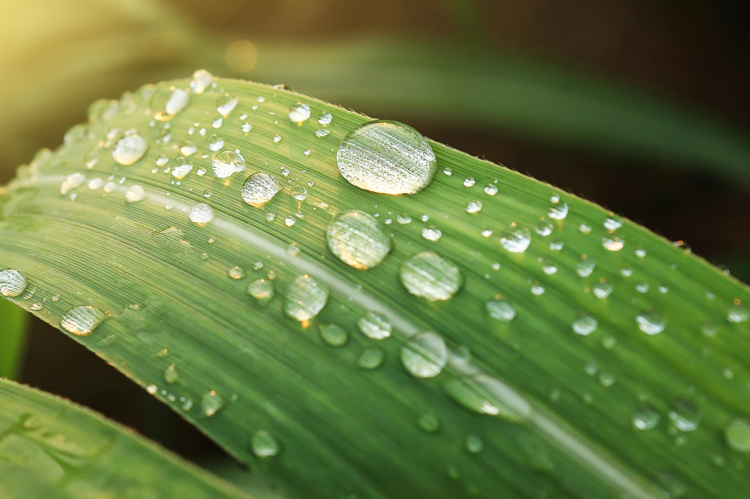 Solar-Powered Desalination: Meeting Water Needs with Renewable Energy