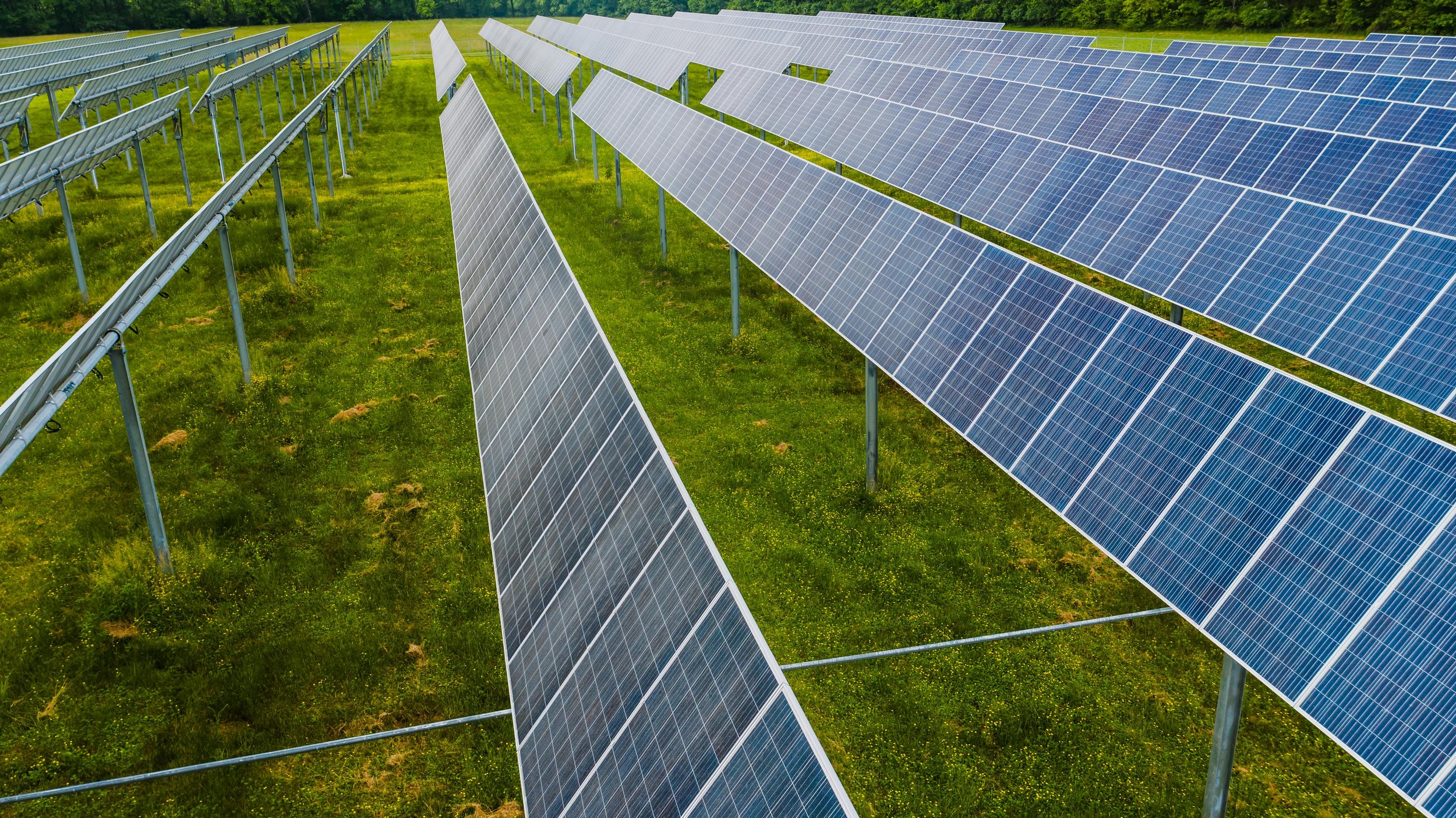 How AI and Big Data Are Optimising Solar Energy for a Greener Grid