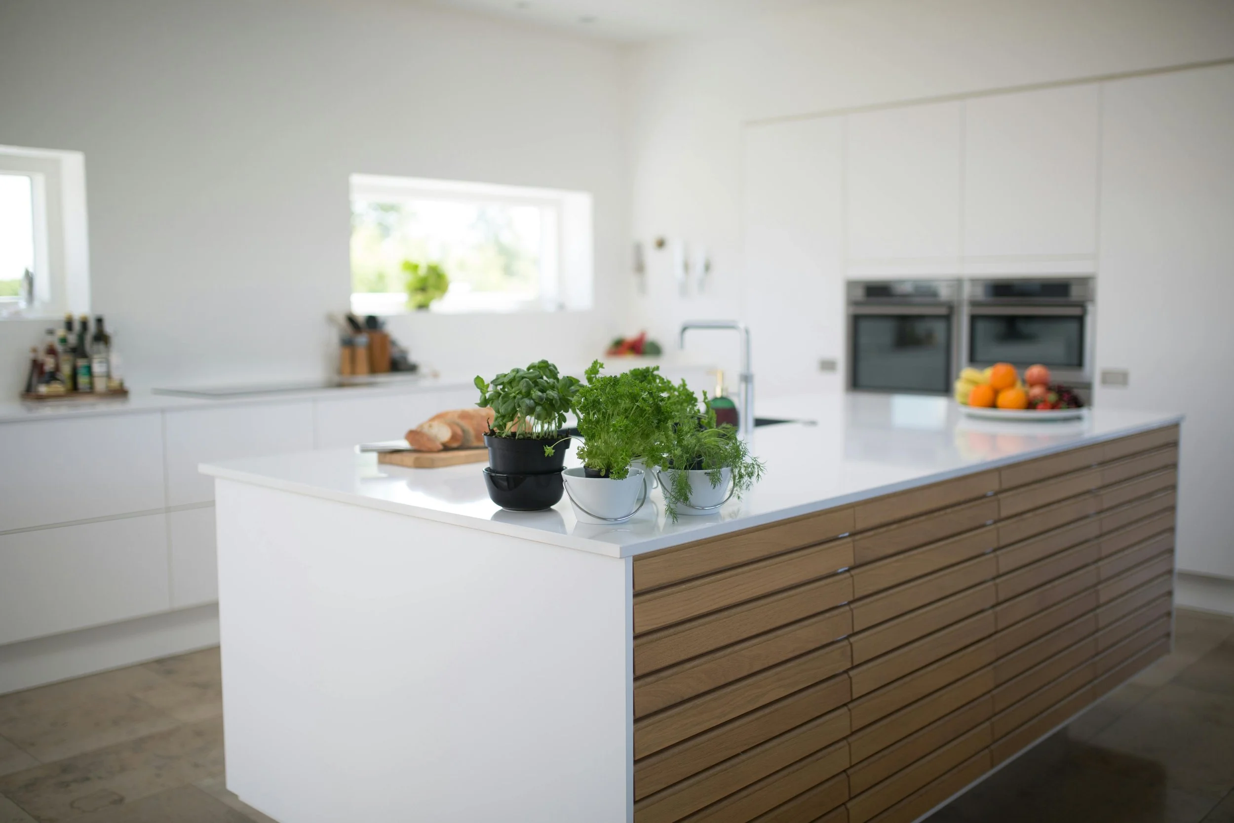 Modern eco-friendly home with greenery, representing sustainable living and energy efficiency.