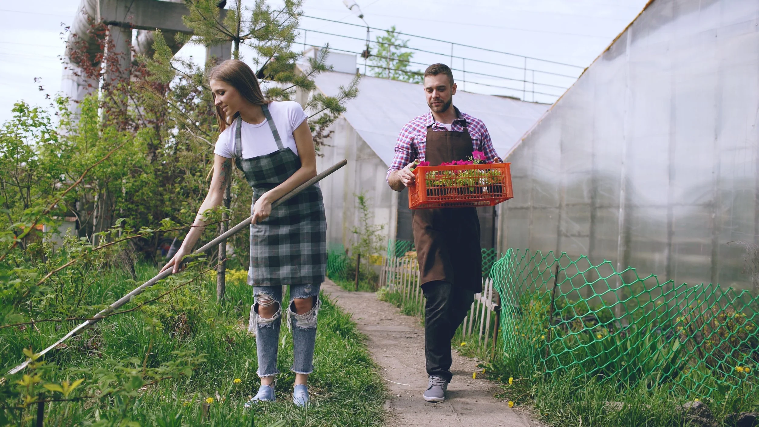 Two gardeners tending to plants in a greenhouse, representing sustainable living, responsible growing practices and environmental awareness.