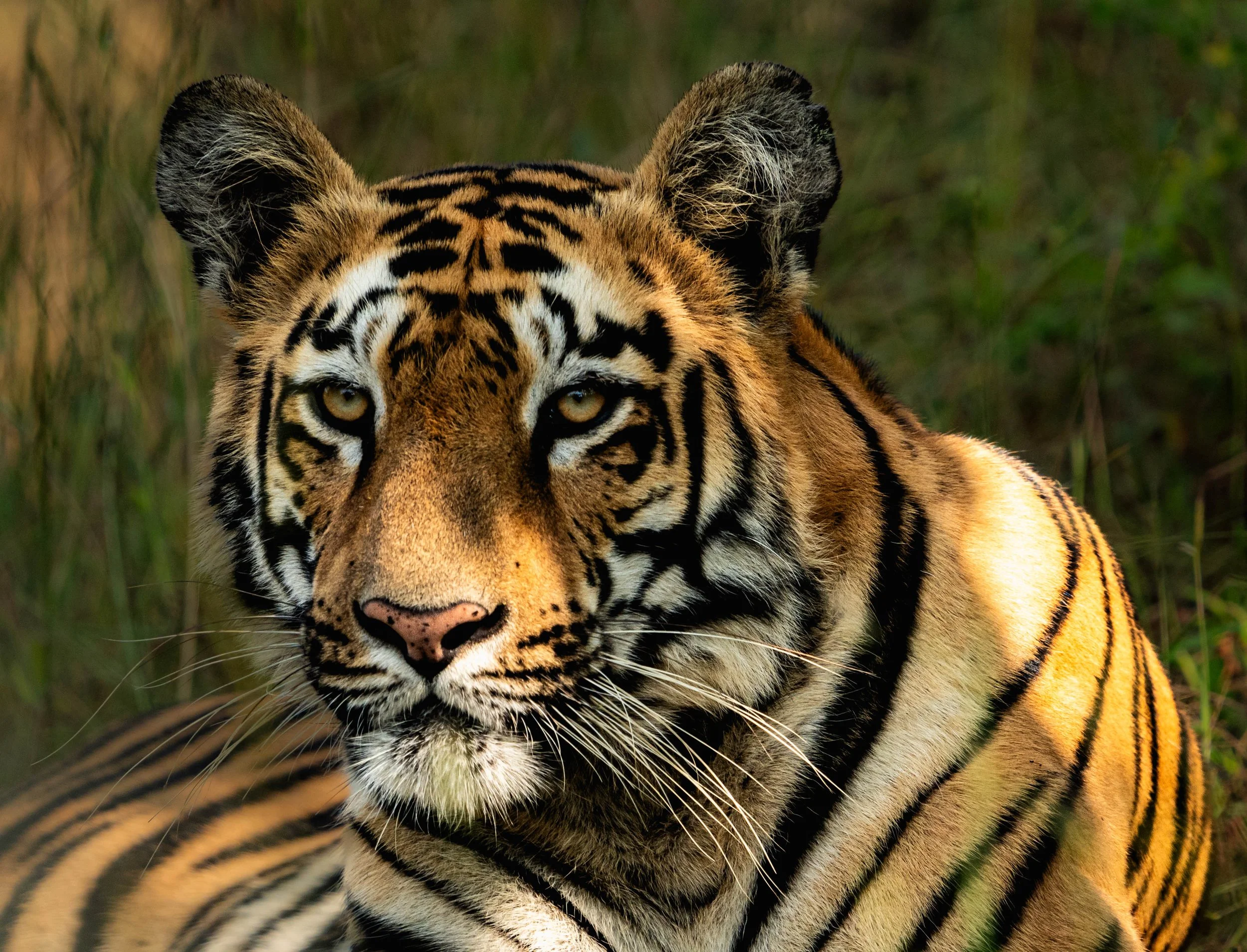 A7400910.jpg
