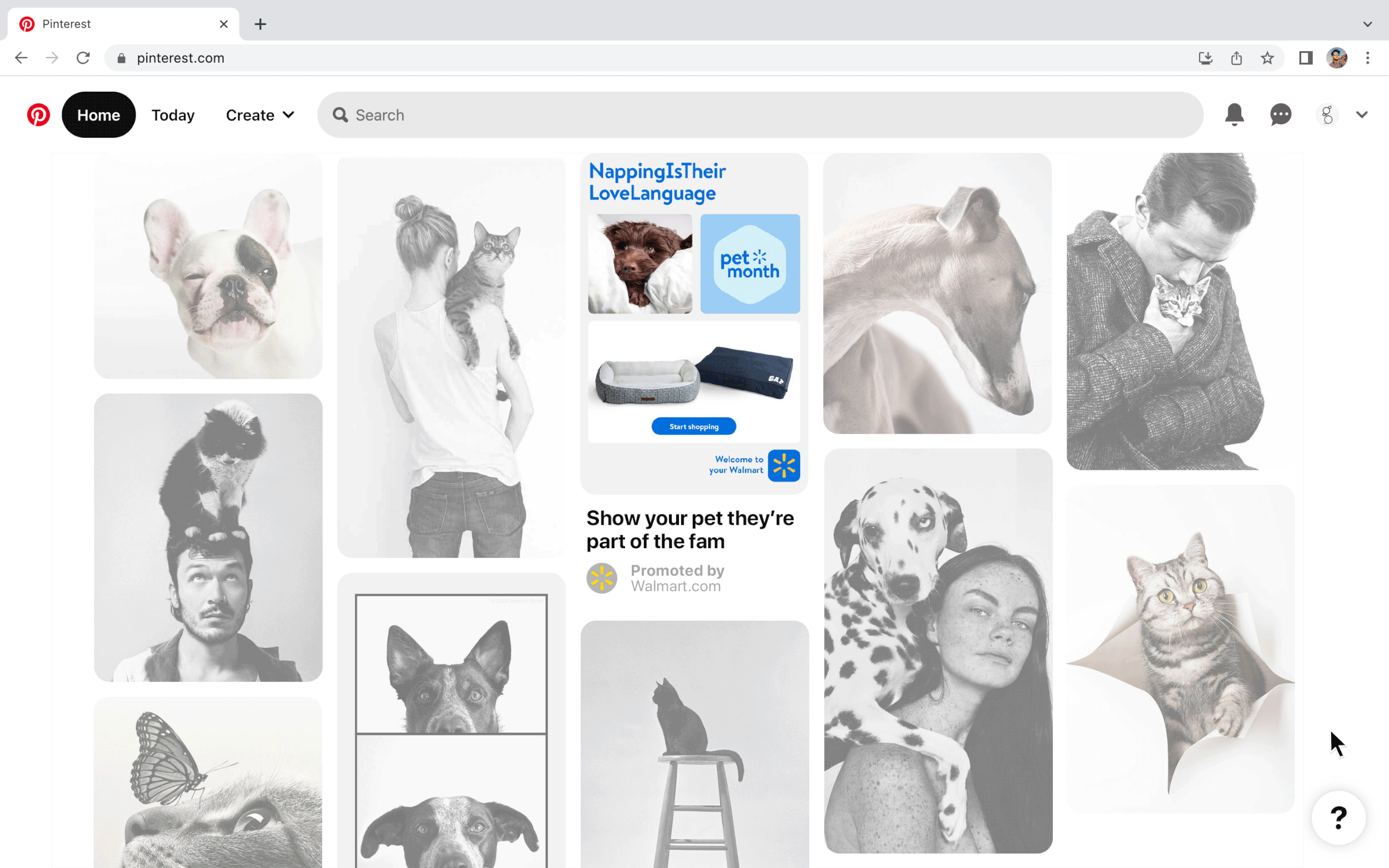 NATIONAL PET MONTH : Pinterest