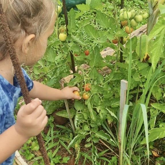 Permaculture dans le jardin du Fare Anuanua
