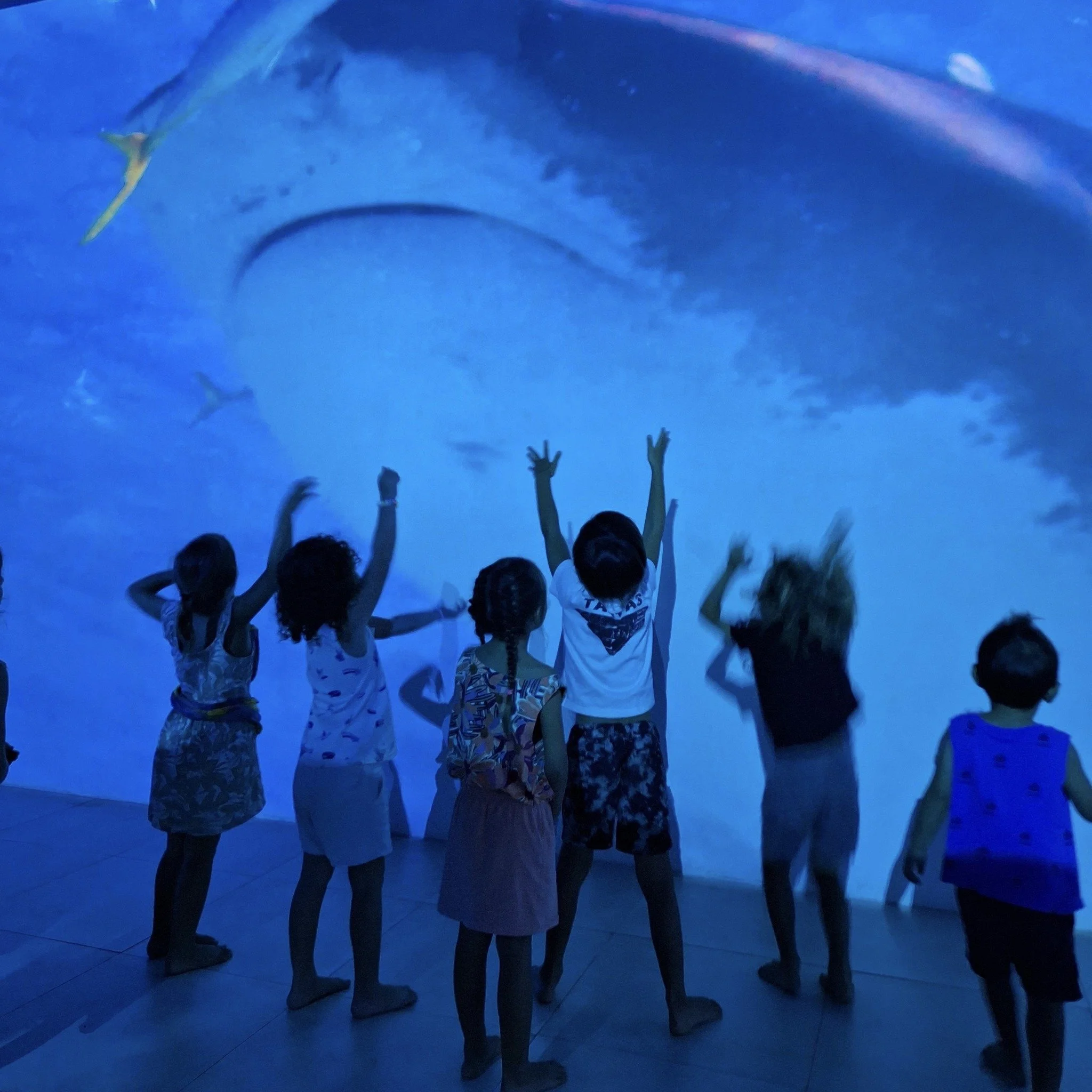 Sortie pédagogique au Fare Natura