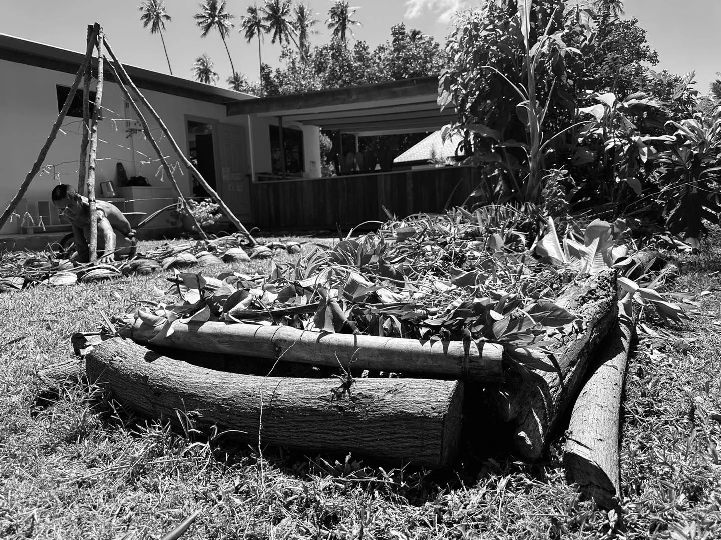 Approche Montessori intégrant la permaculture  et l’apprentissage en plein air à Moorea
