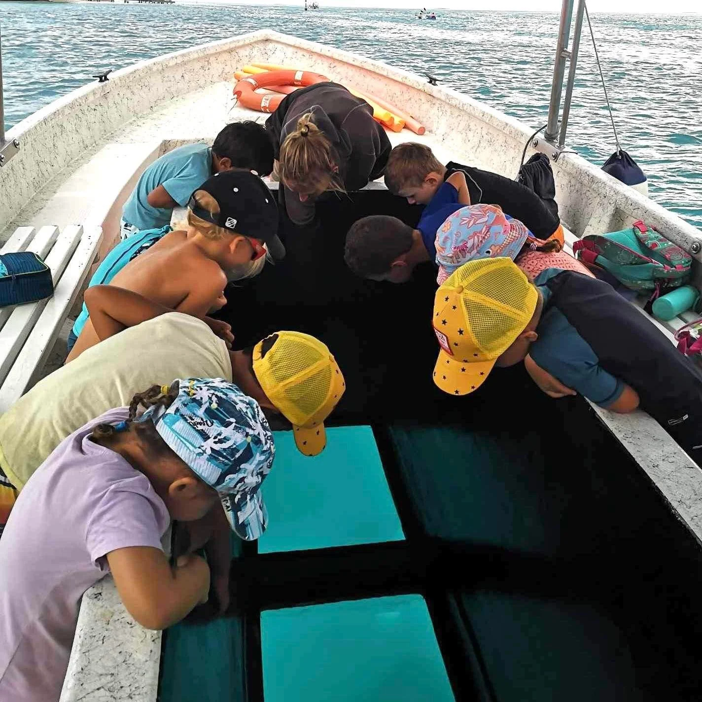 Découverte éducative des fonds marins : sortie en bateau à fond de verre organisée pendant les stages vacances 