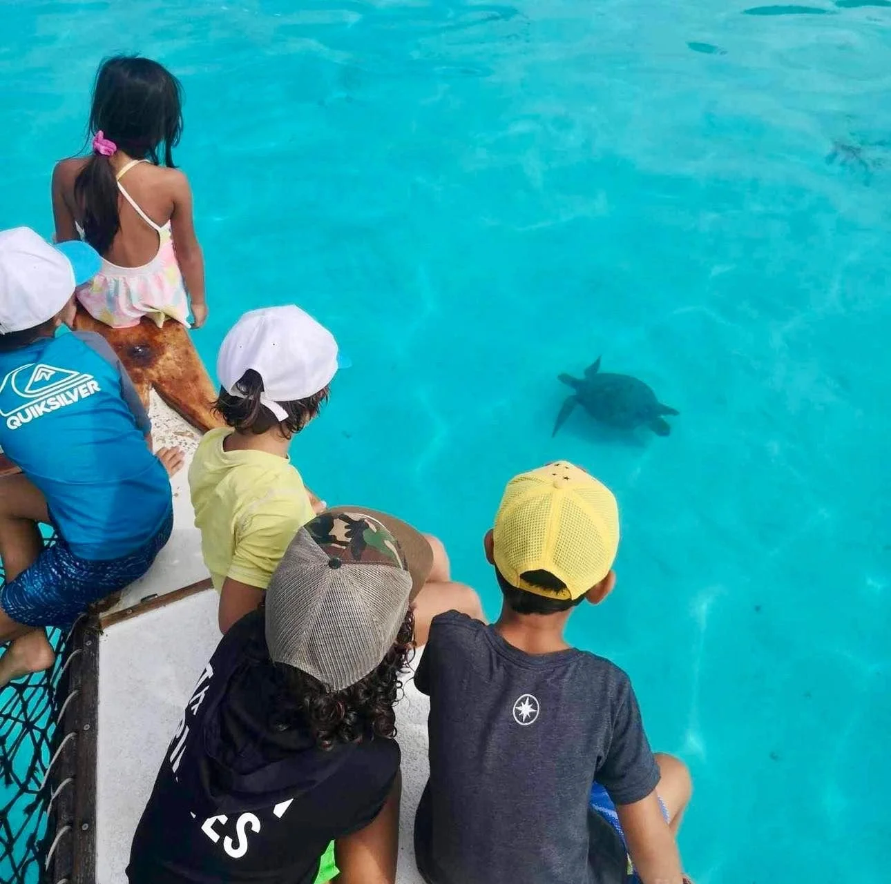 Enfants observant une tortue marine lors d’une sortie en bateau à fond de verre avec Capitain Teina pendant les stages vacances de l’École Fare Anuanua