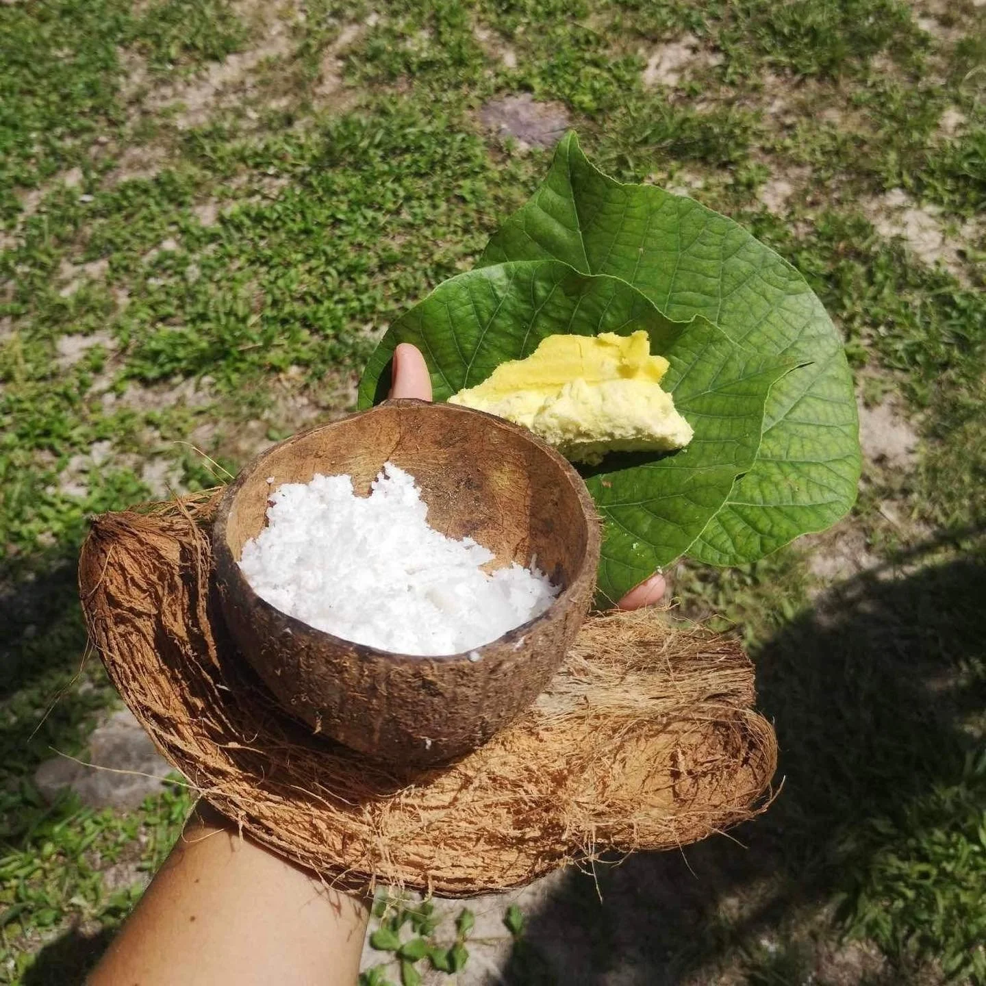 Coco du jardin du Fare Anuanua