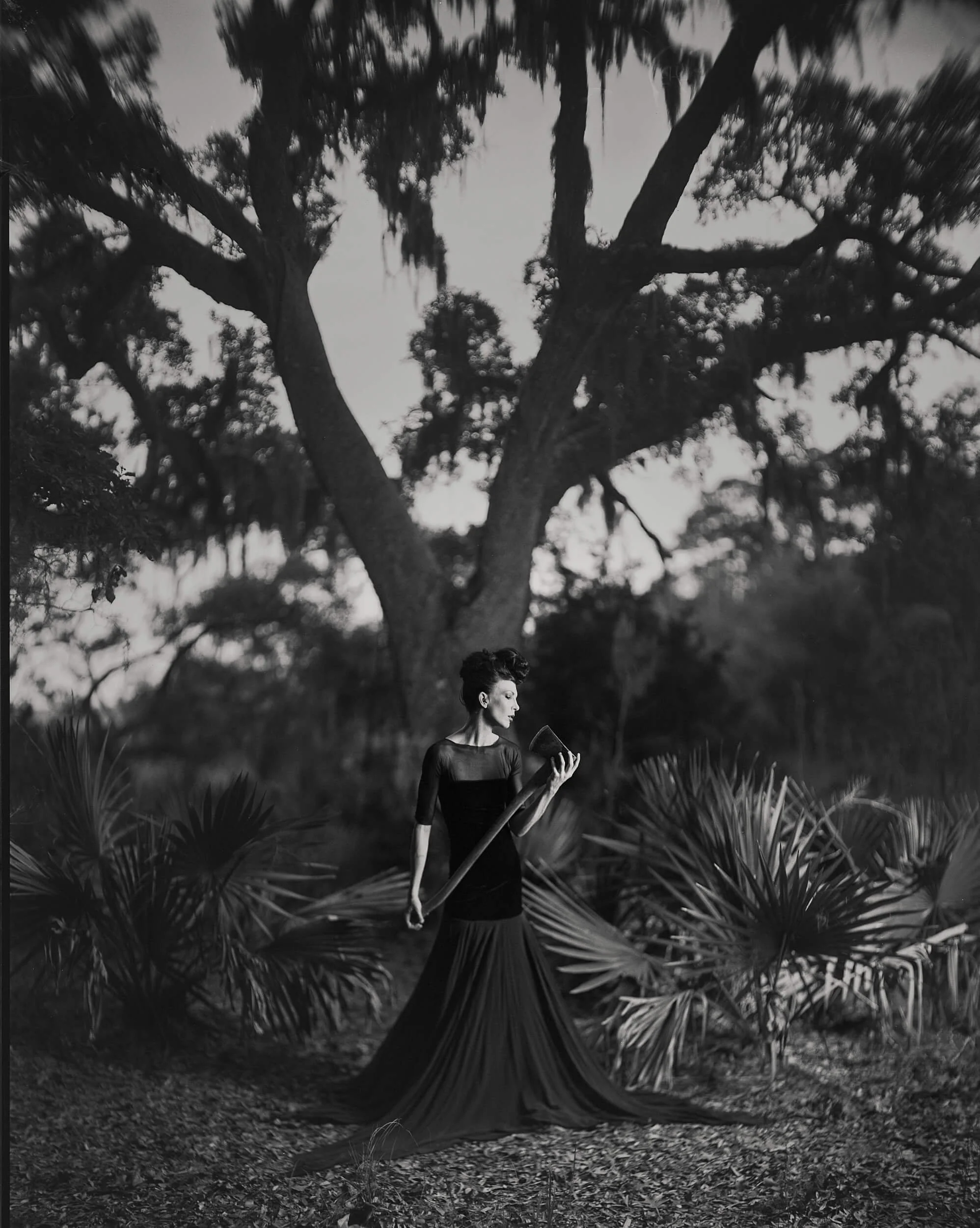 Parker J Pfister Fine Art Black and White Photography of a woman in an elegant dress in the foreground standing outside with a large tree in the background.
