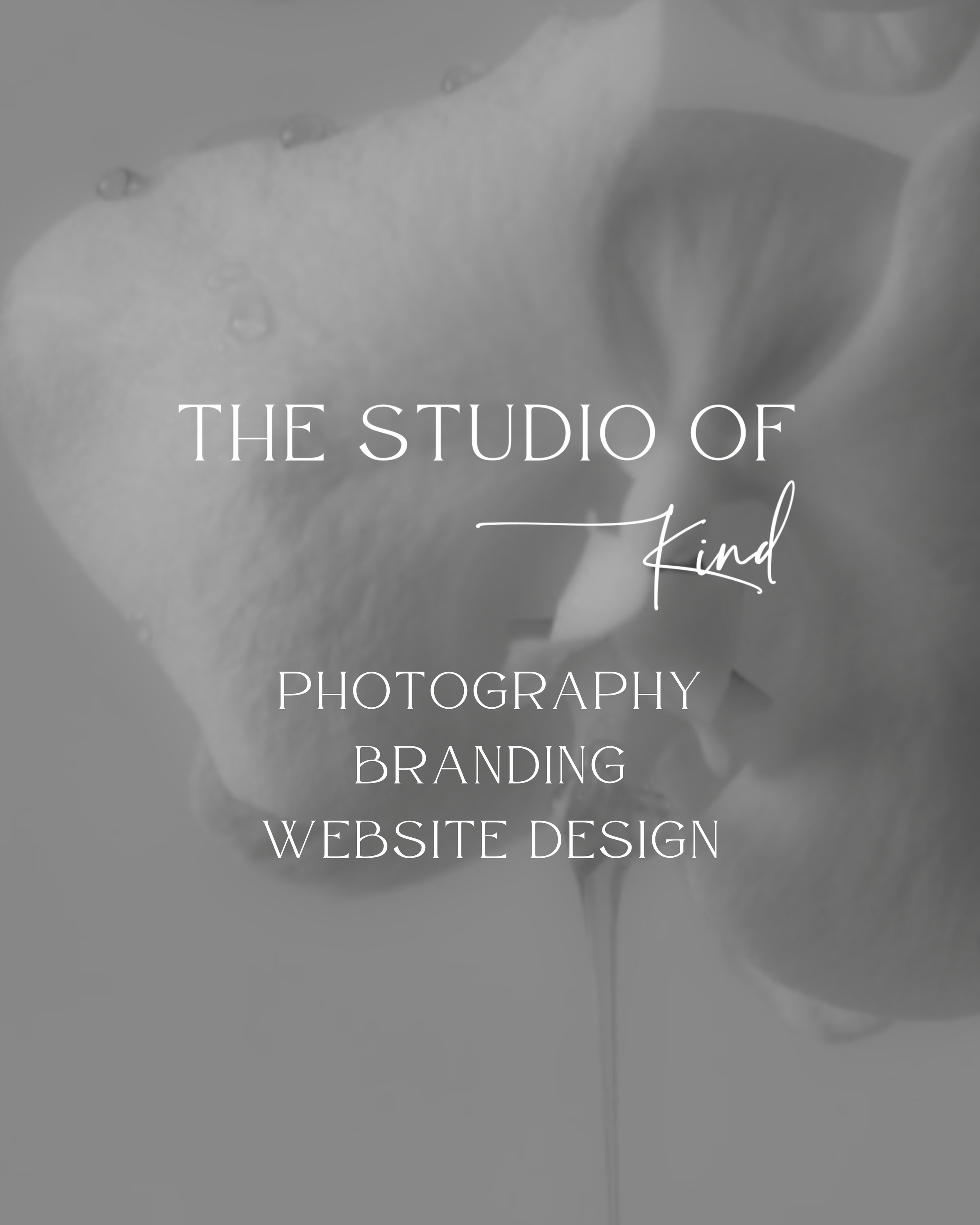 The Studio of Kind - Photography Branding Website design.png