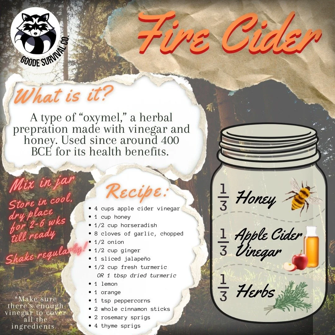 This home remedy drink is used to strengthen the immune system and ward off illness. Looking at the tail end of summer, getting some fire cider started now would be the perfct time! 
.
.
.
.
#firecider #immuneboost #immunesupport #familyhealth #ACV #
