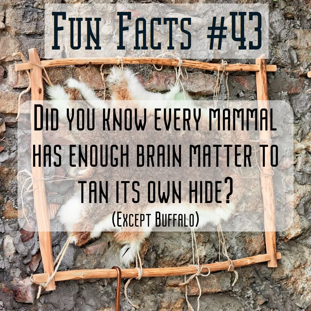 As someone interested in leather working, I found this fact to be interesting and somewhat hilarious.
.
.
.
#goodesurvivalco #goodesurvival #gsc #surviveandthrive #prepper #shtf #shtfready #prepping #survive #preparedness #prepared #survival #disable