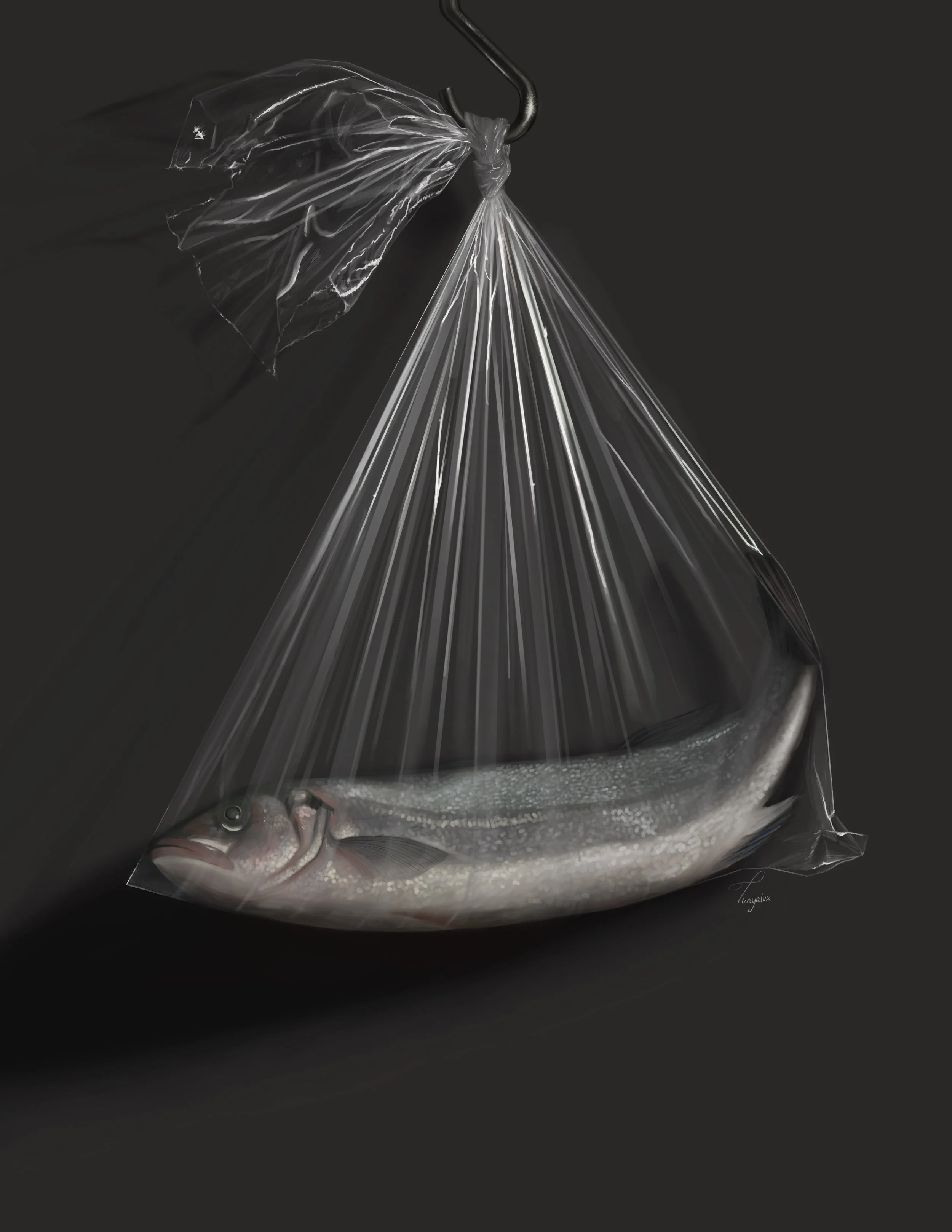A fish inside a transparent plastic bag with a hook attached to the top, set against a black background.